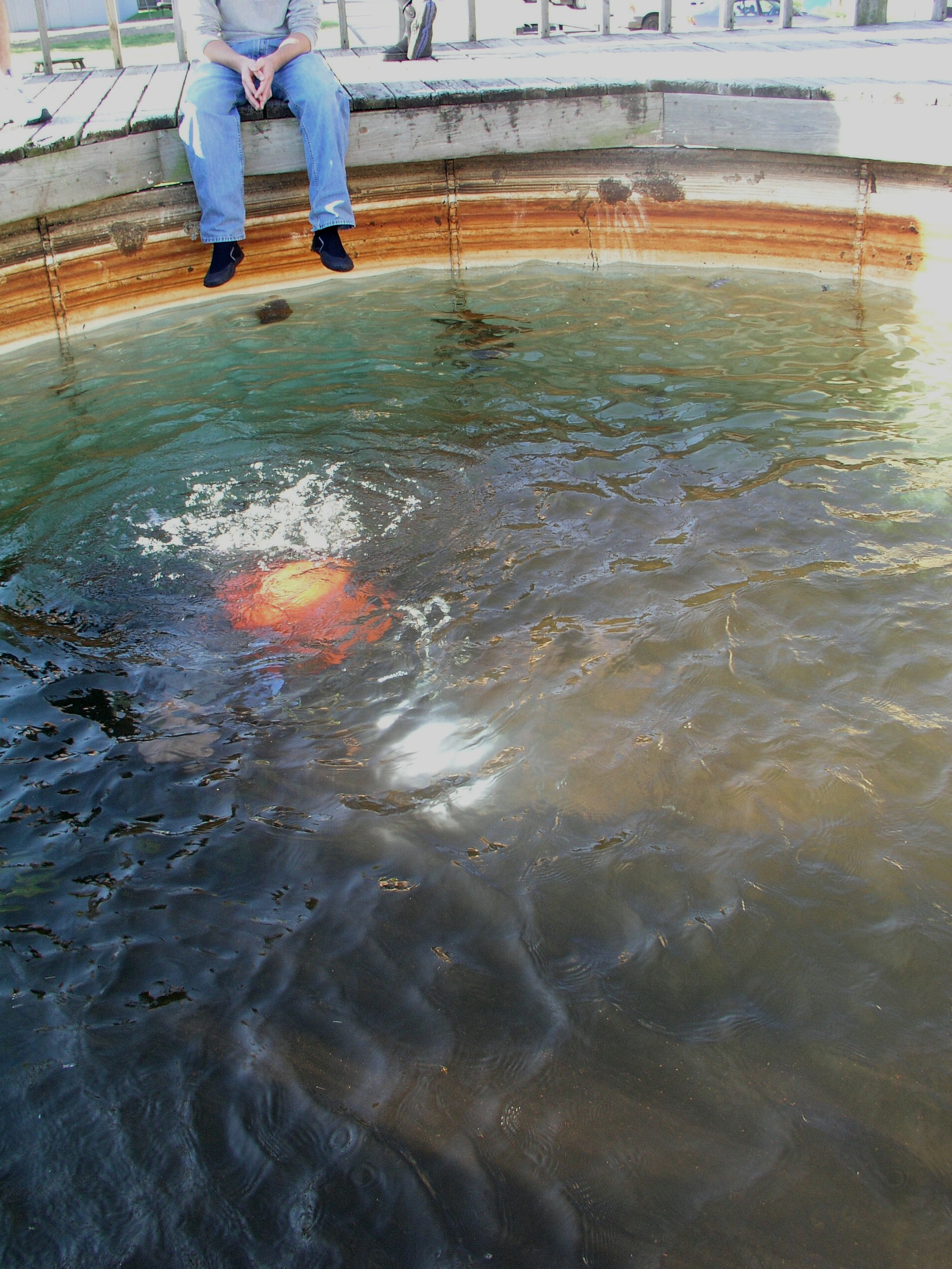 Commercial Diving Experience 2005 reupload