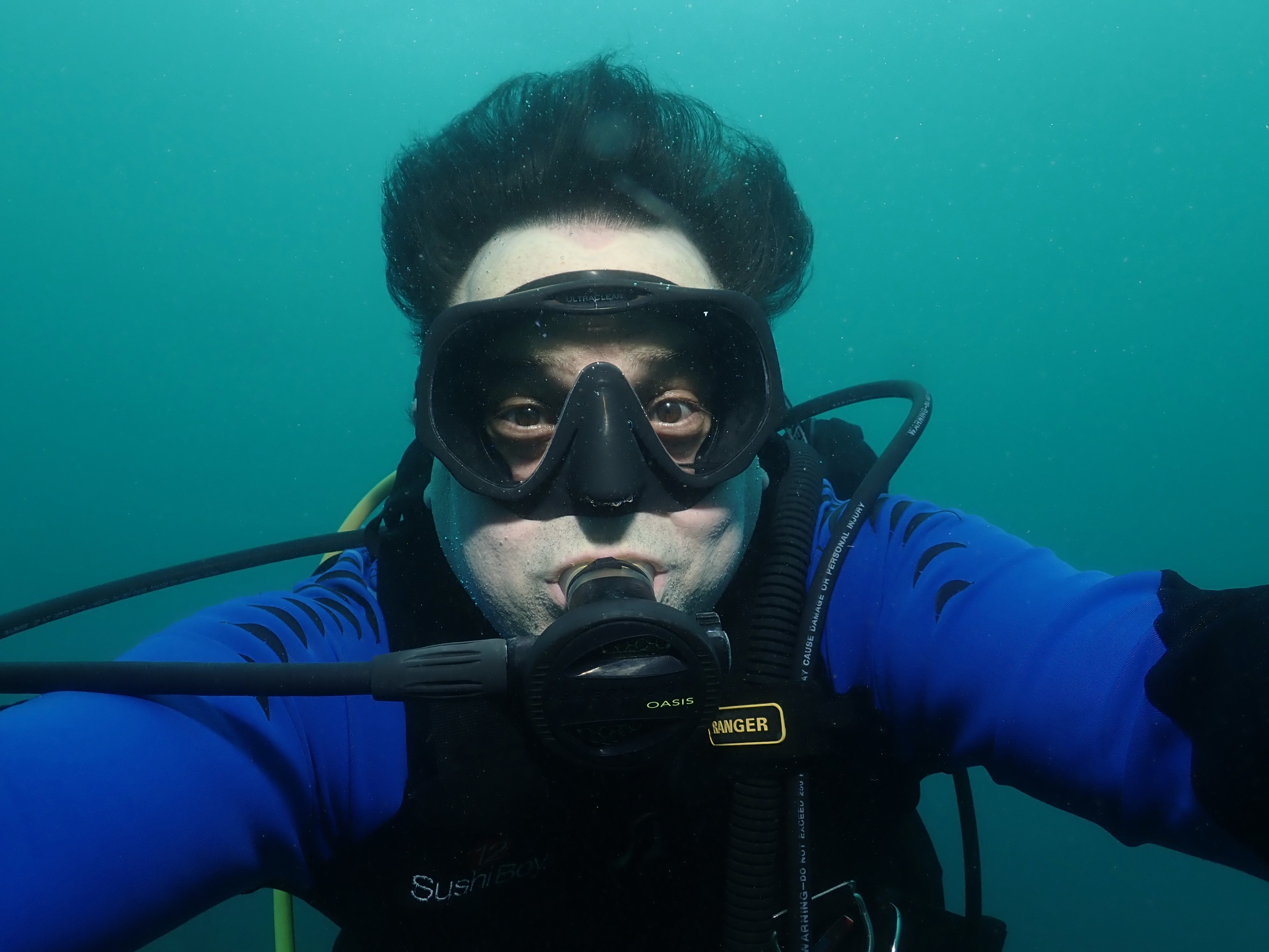 Common barfly, aquatic phase