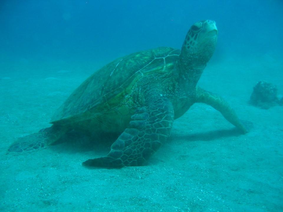 CopyofIMG_7245_2_1_932891