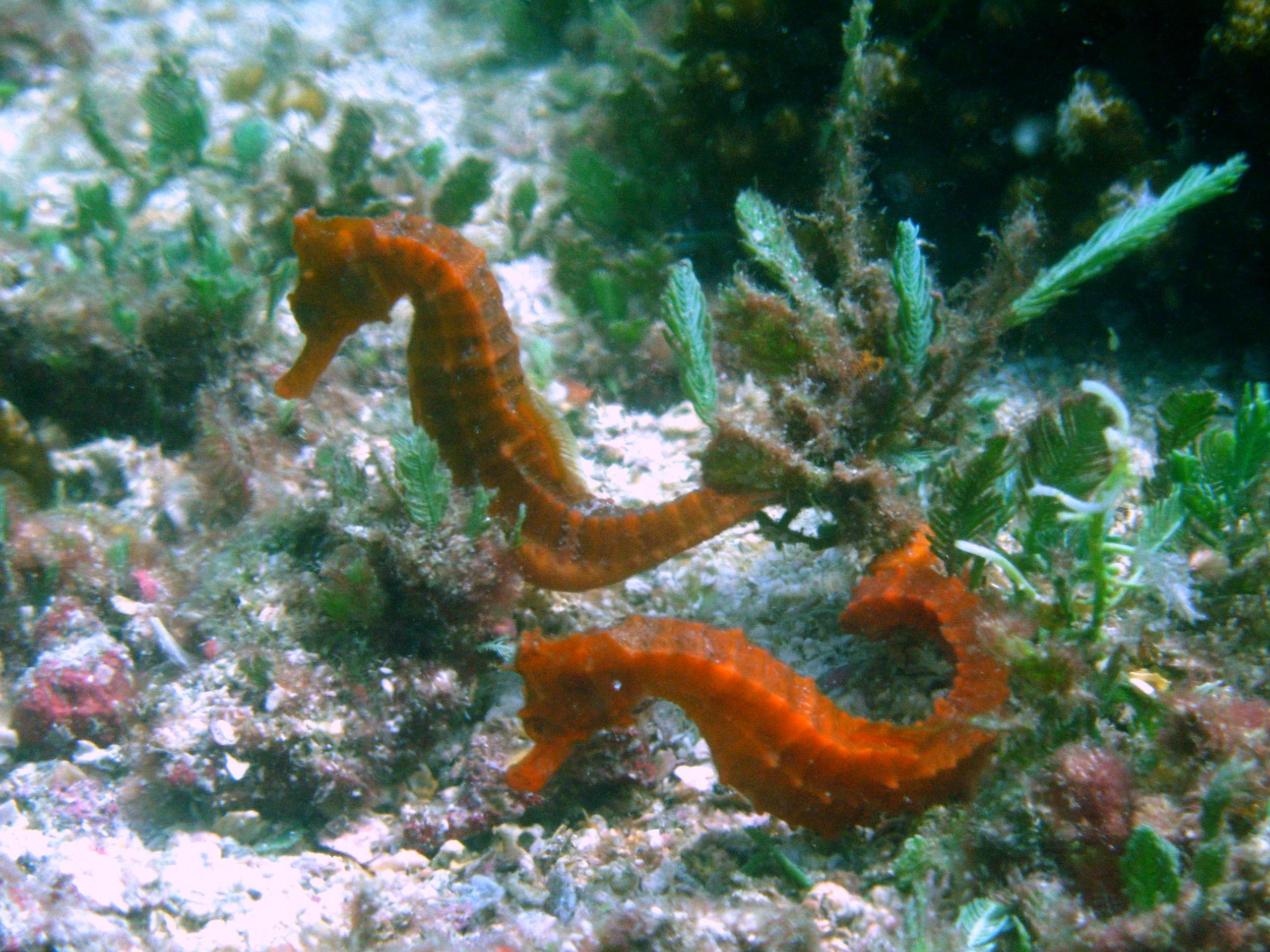 costaricapic017_694549
