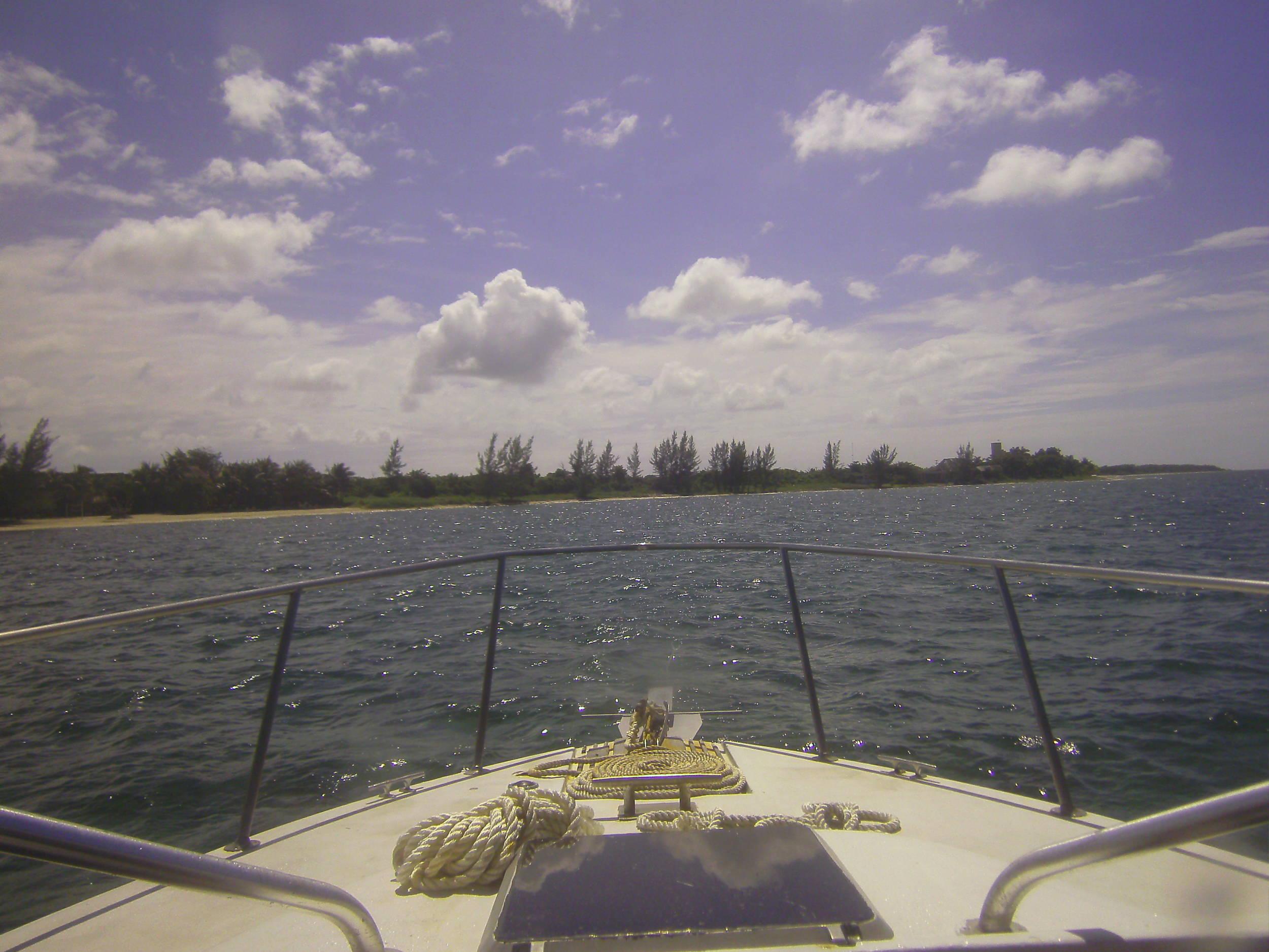 Cozumel Dive Trip October 2012: my first blue water