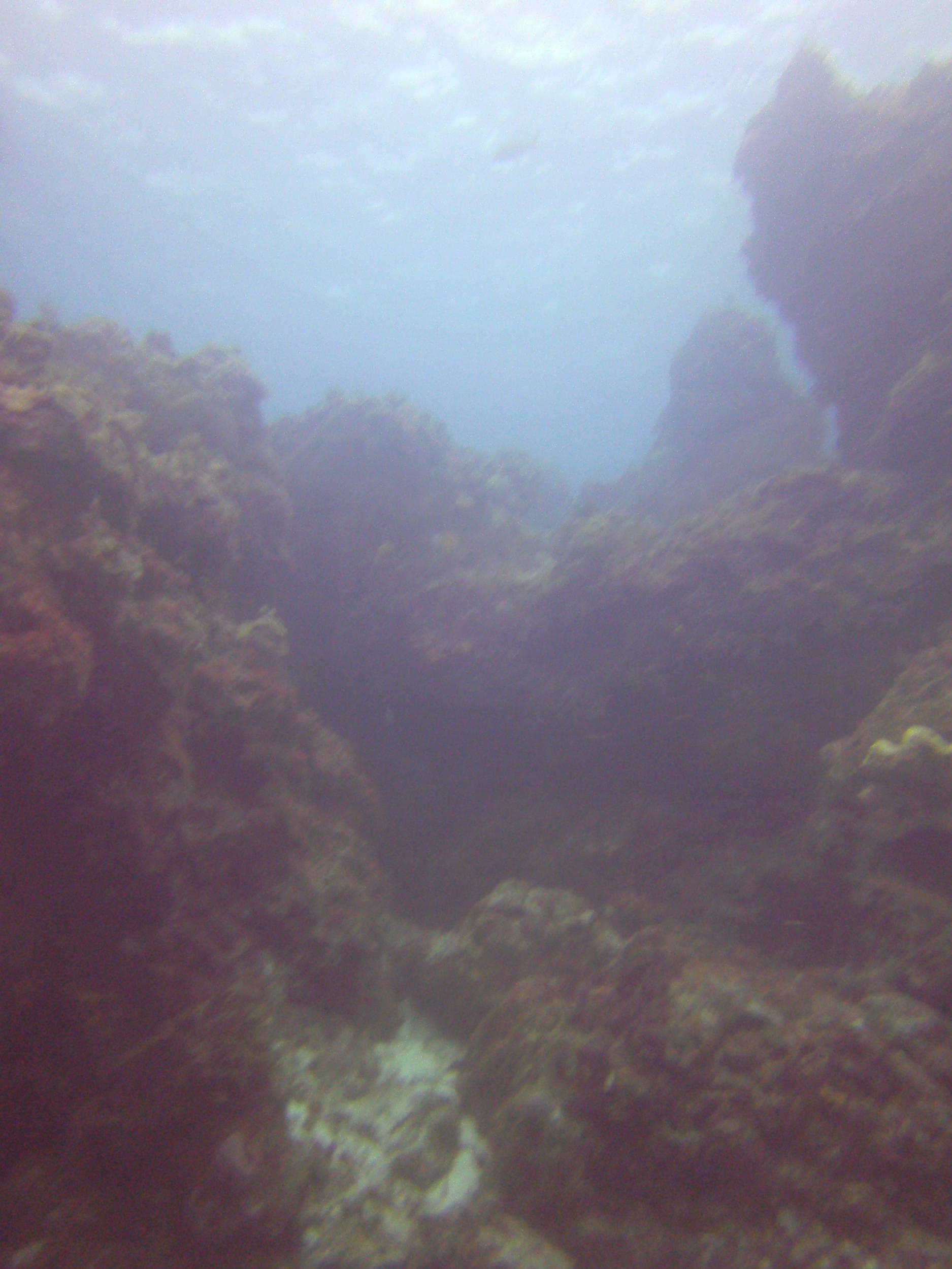 Cozumel Dive Trip October 2012: my first blue water