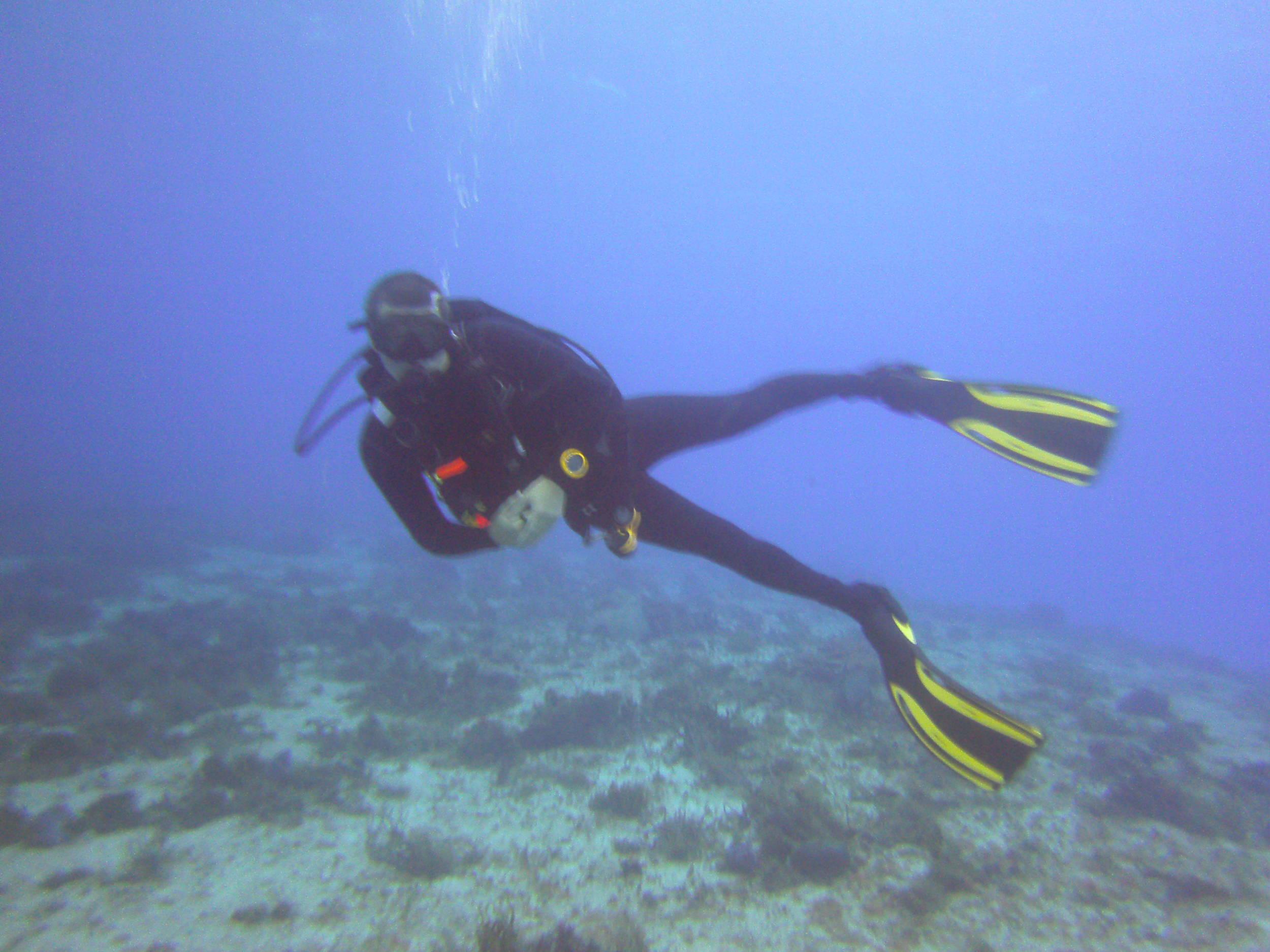 Cozumel Dive Trip October 2012: my first blue water