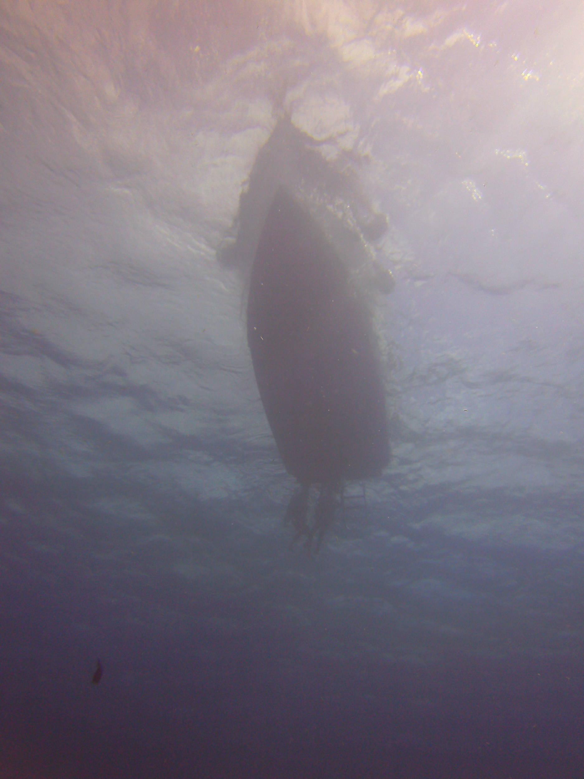 Cozumel Dive Trip October 2012: my first blue water