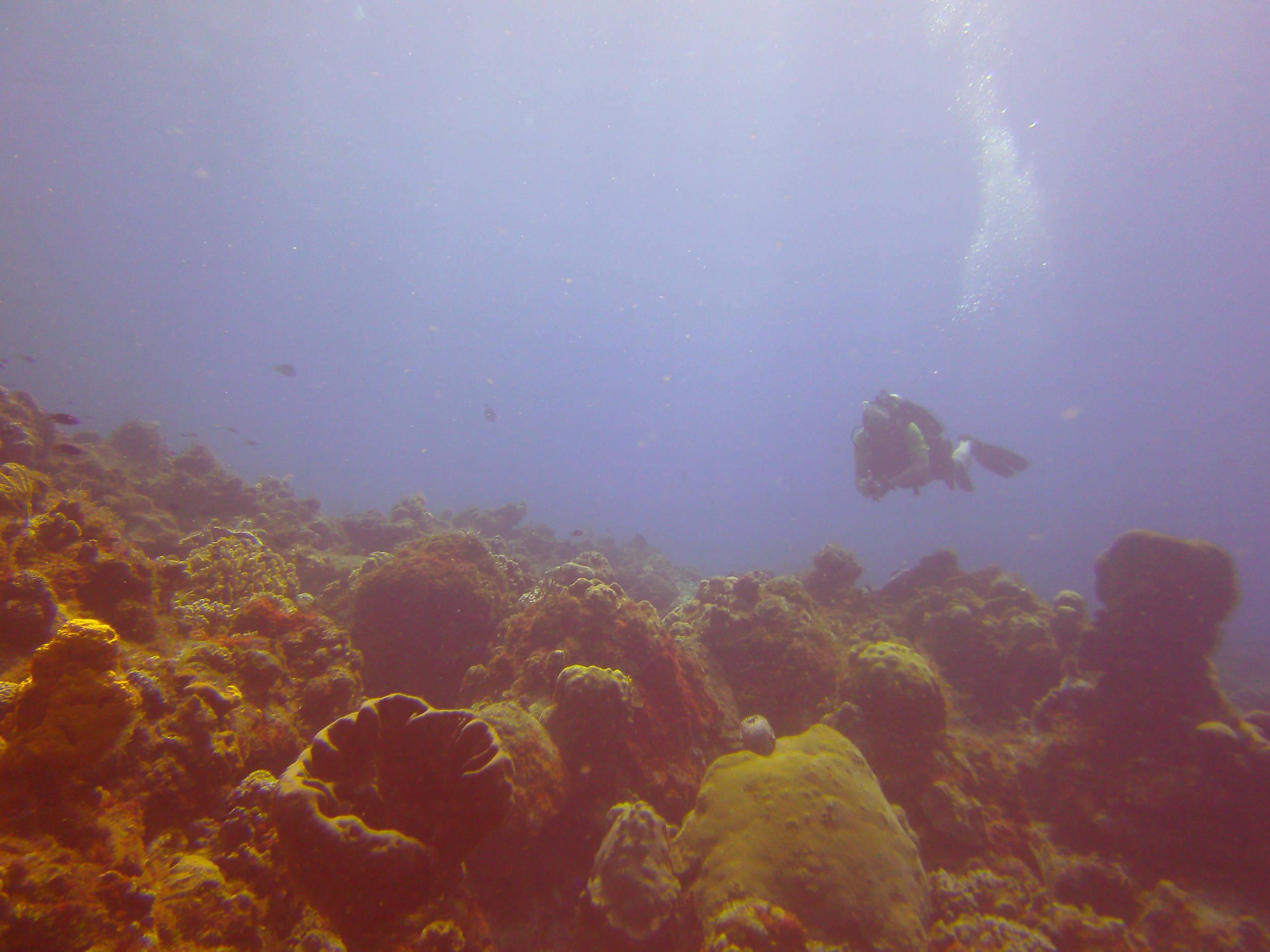 Cozumel Dive Trip October 2012: my first blue water