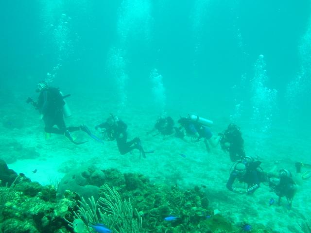 Cozumel tour group