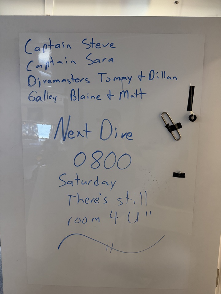 Crew for 4th July 2026