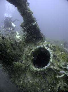 CRW_5069