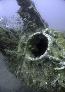 CRW_5070