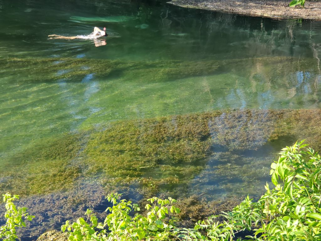 Crystal Clear Comal
