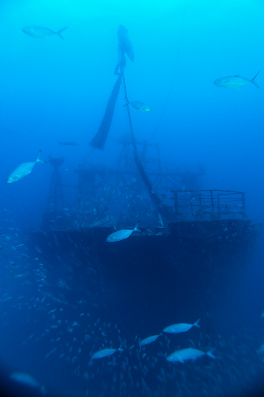 D78E1ABC-D8D1-480D-B300-13BD0AA5D52D