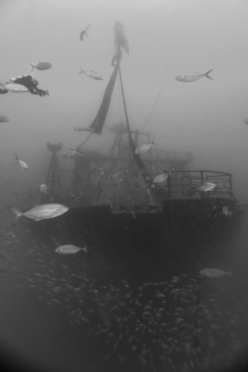 D979EC14-1E5A-4B58-AEDD-89DACC1610B4