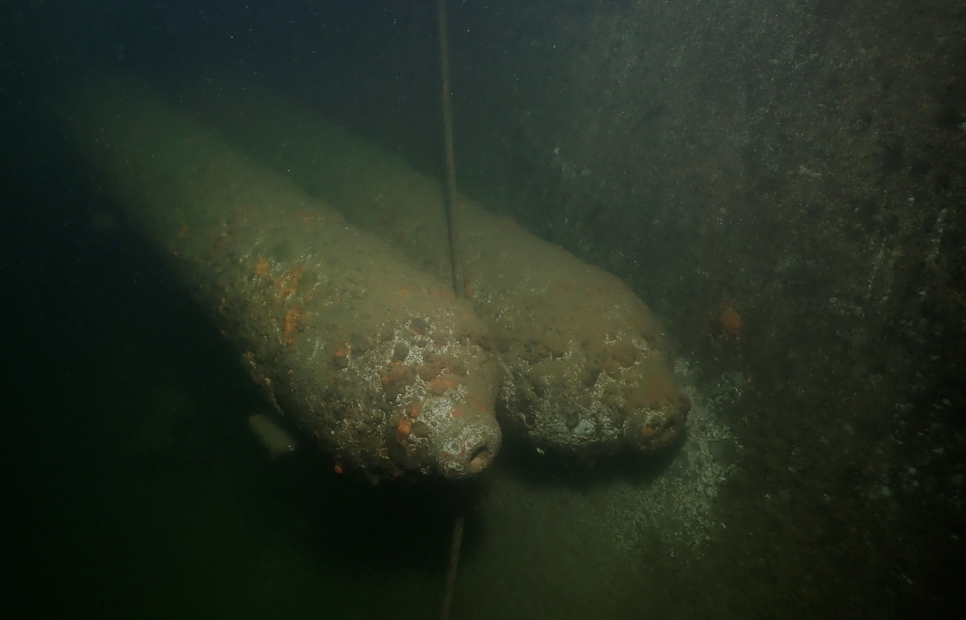 Damn the torpedoes