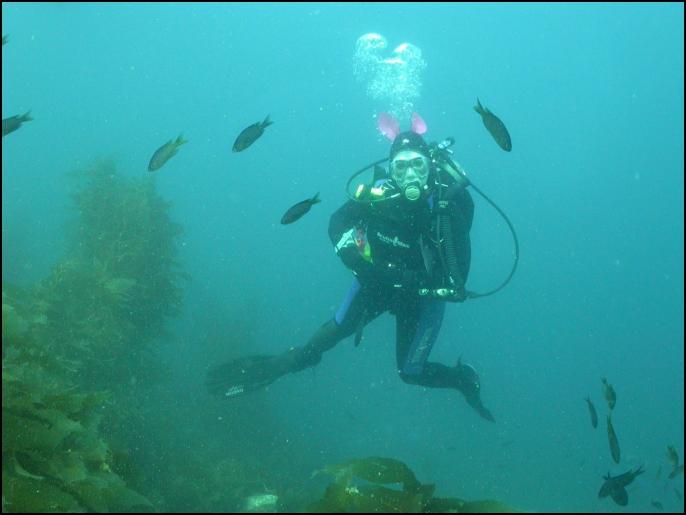 dfishwoman @ Blue Car Wreck