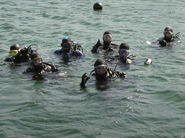 Digital diving?