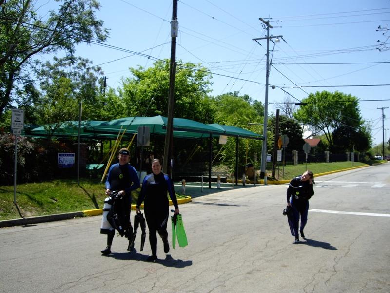 Diva Has Something in Her Ear