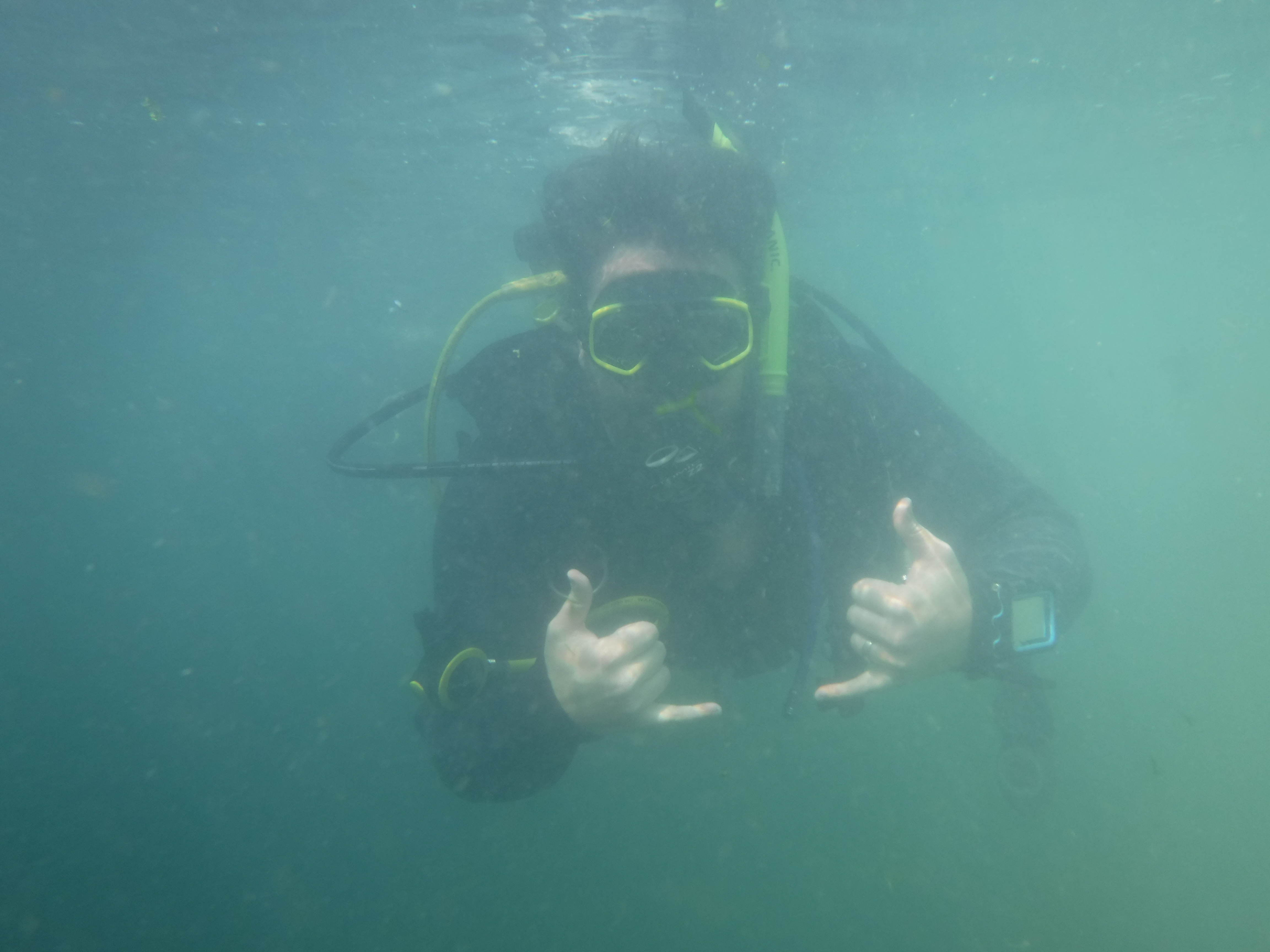 Dive 01 - MattScuteri.JPG