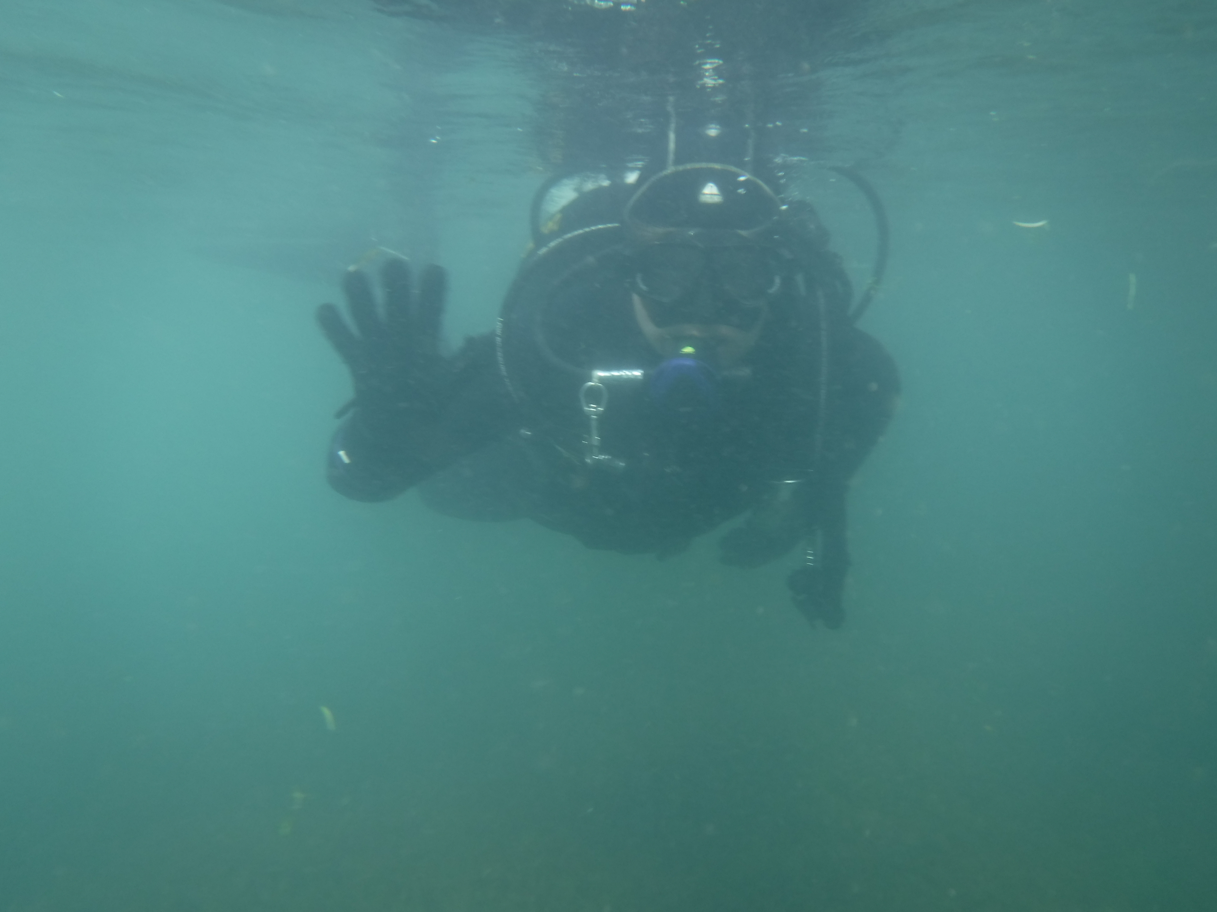 Dive 02 - Siren.JPG