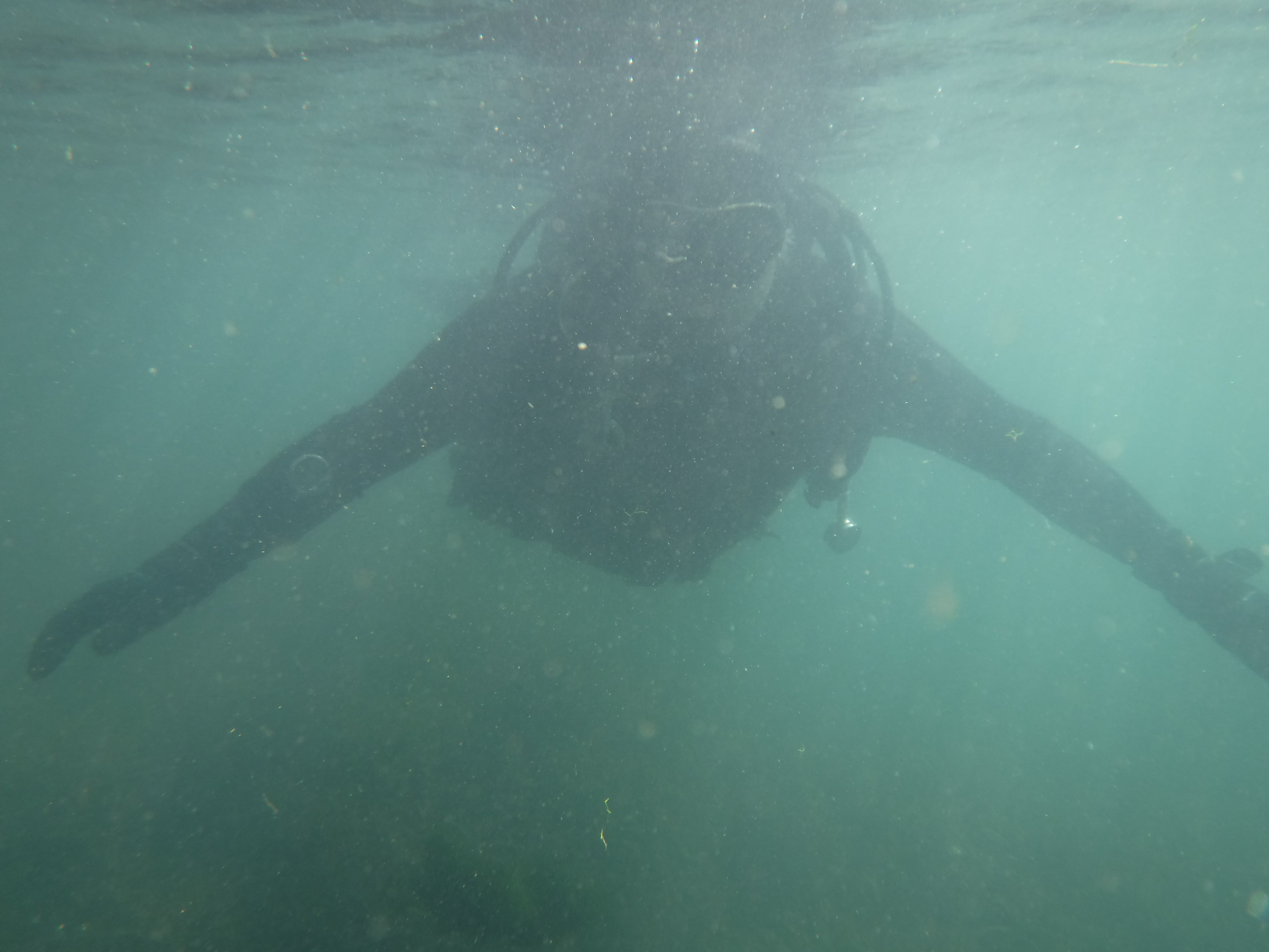 Dive 03 - 24%.JPG