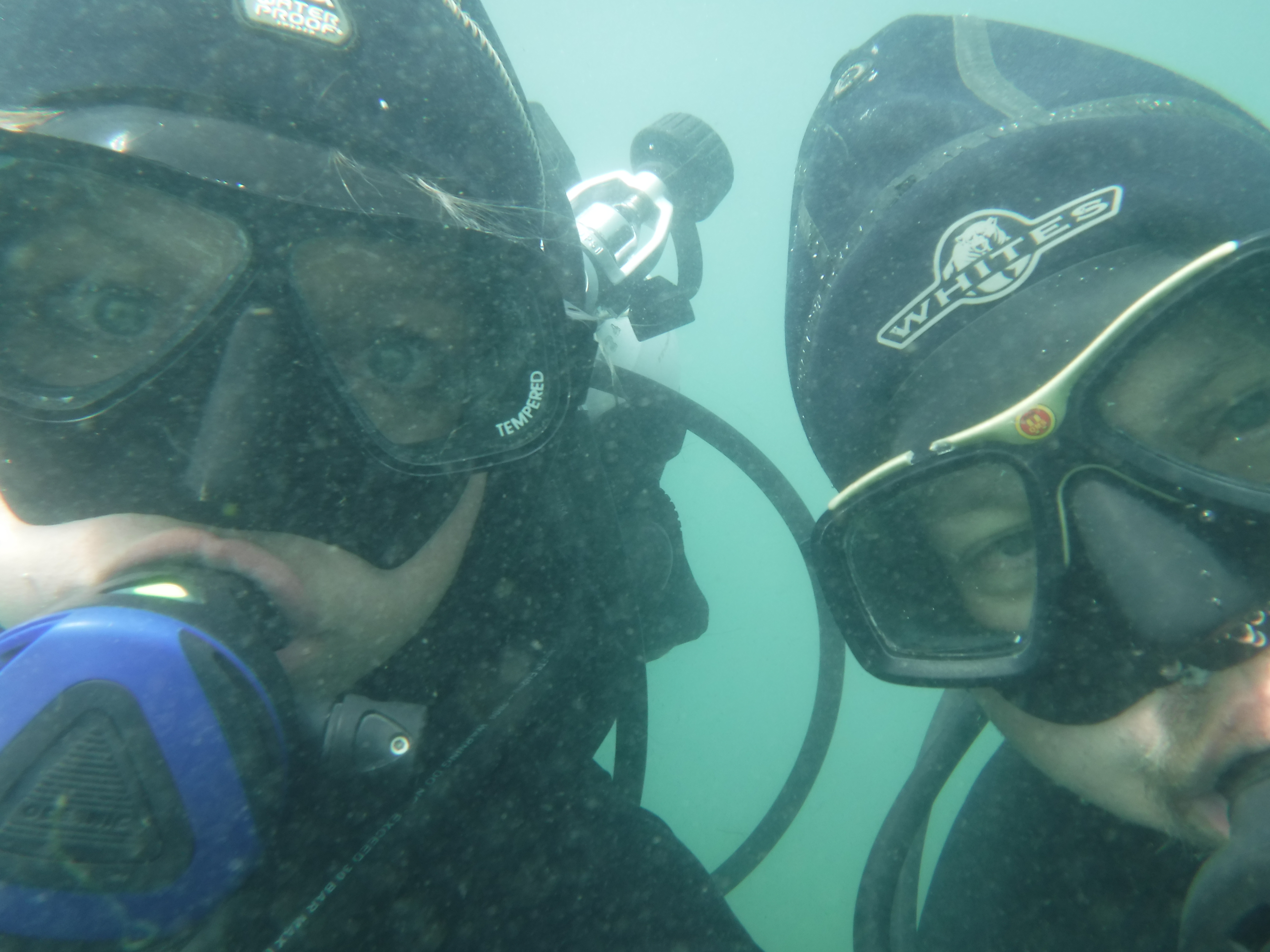 Dive 04 - Siren & 24%.JPG