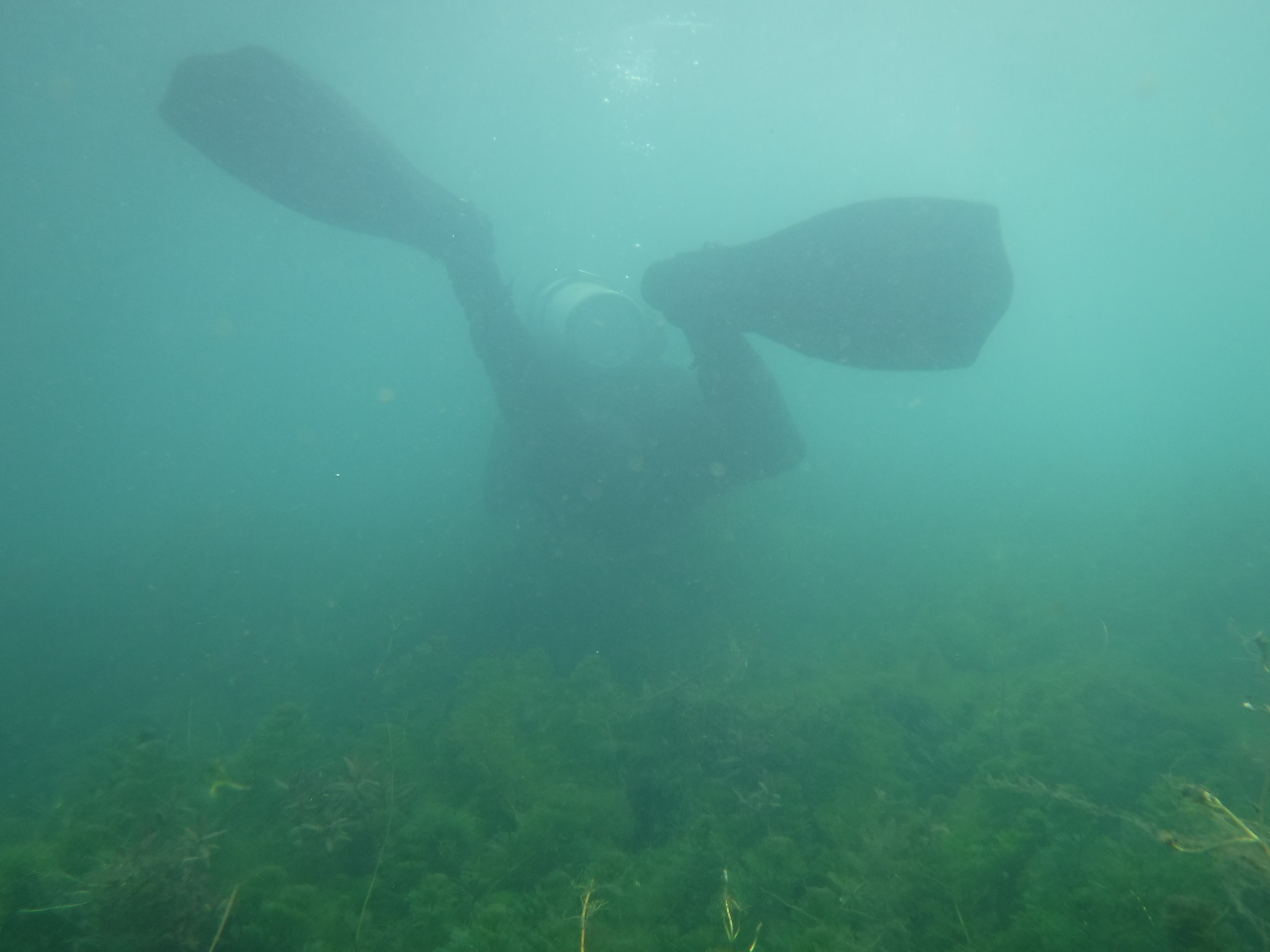 Dive 09 - 24%.JPG