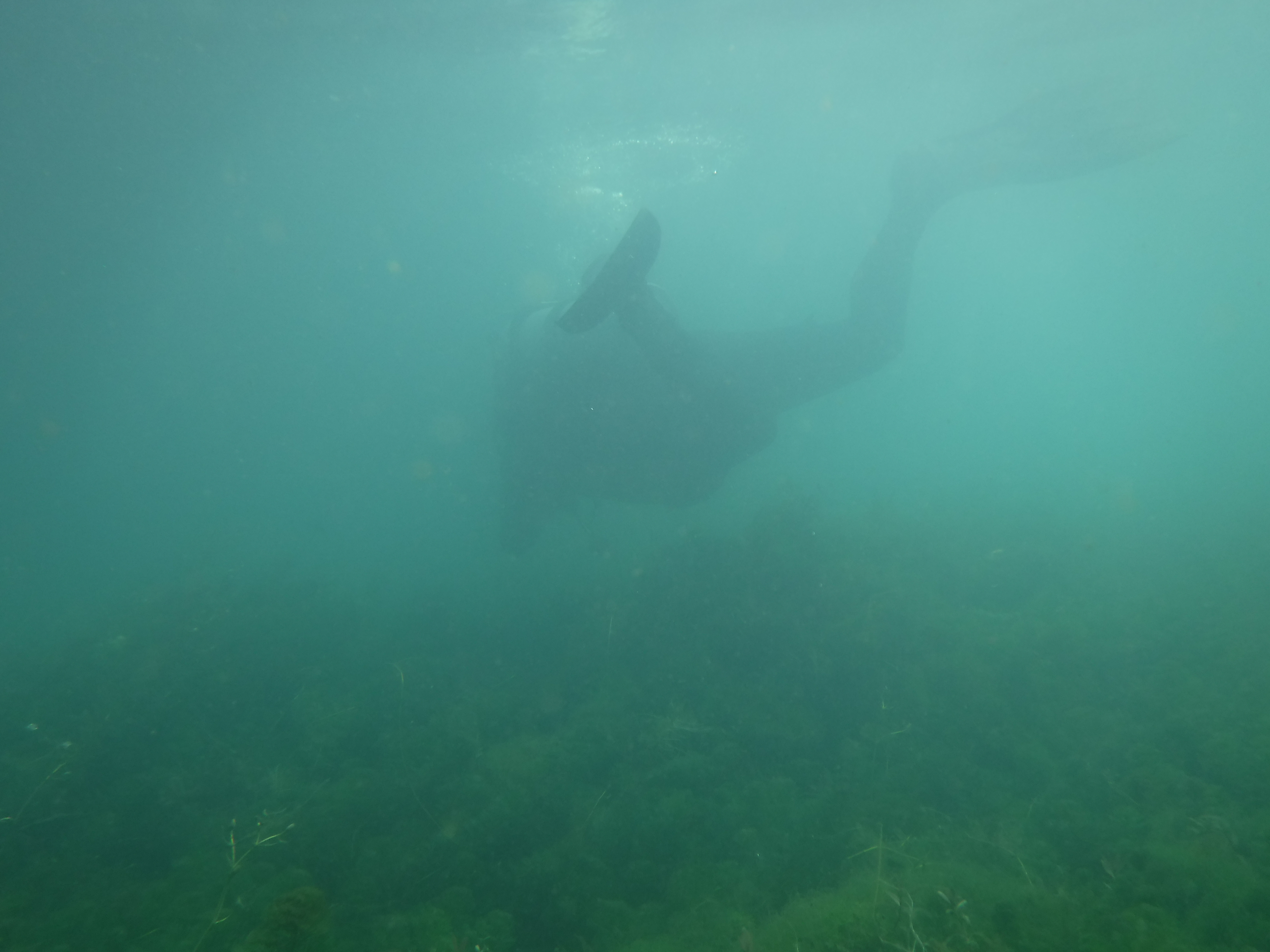 Dive 10 - 24%.JPG