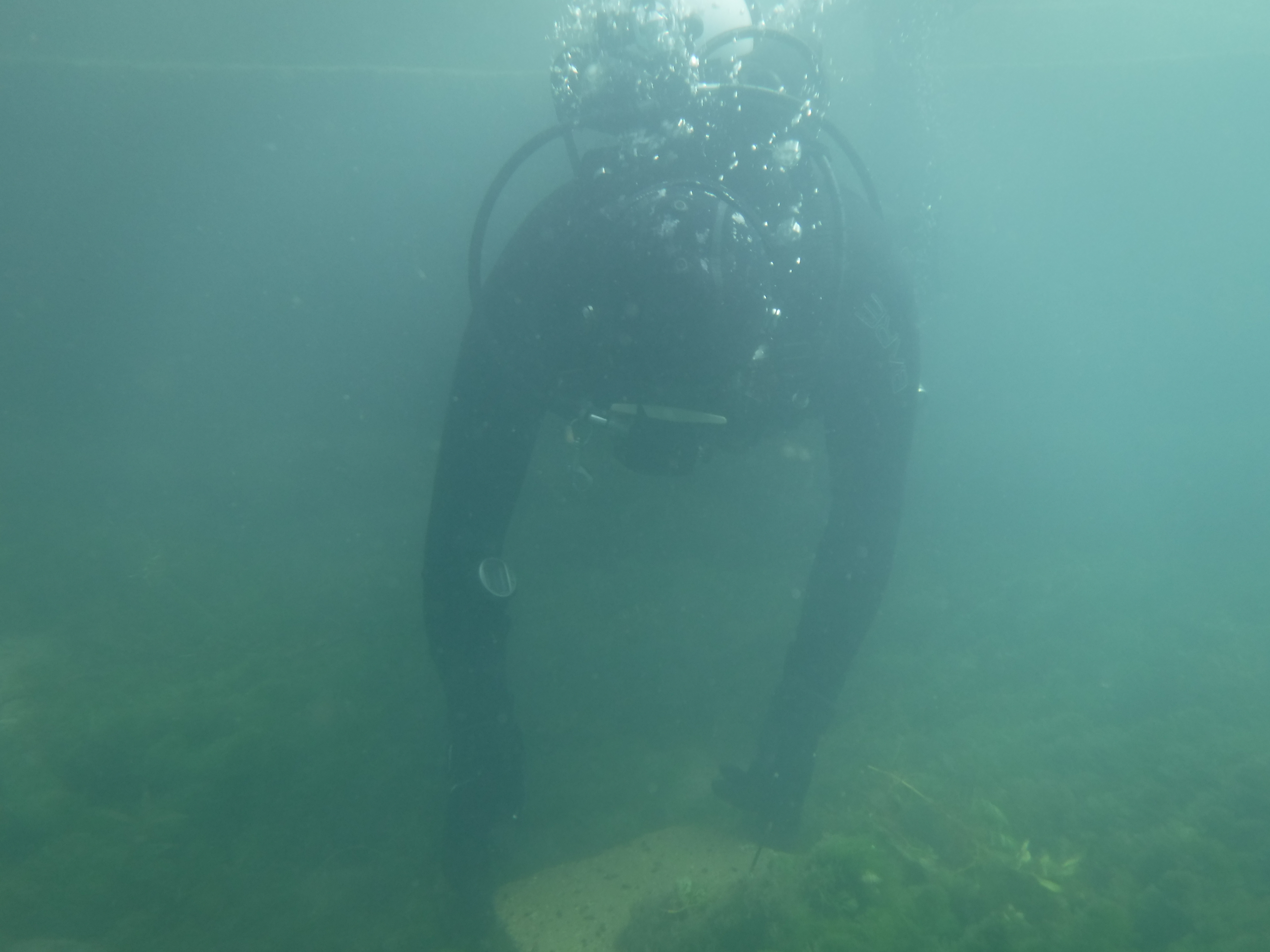 Dive 11 - 24% finds concrete.JPG