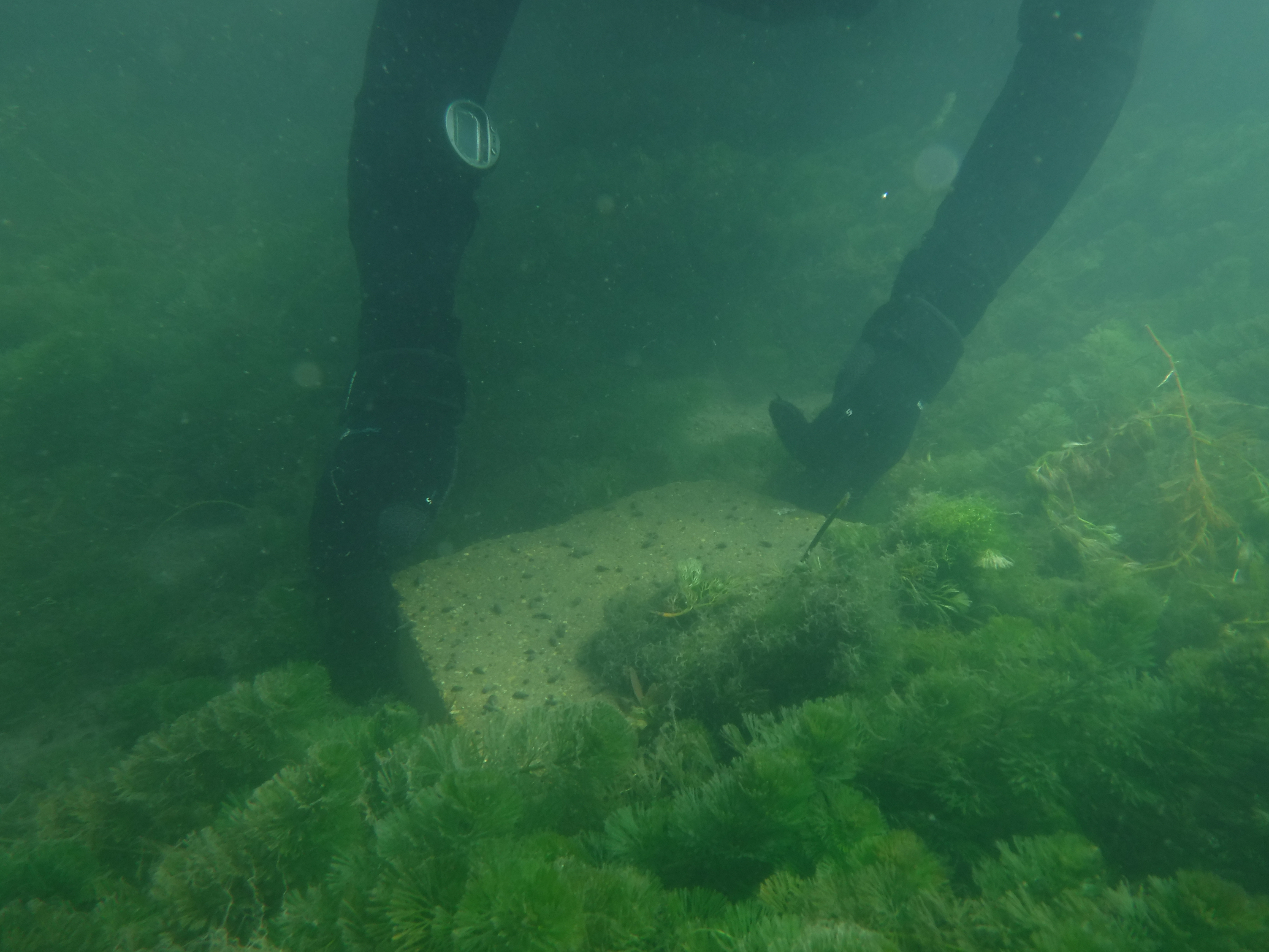 Dive 12 - 24% goes to lift concrete.JPG