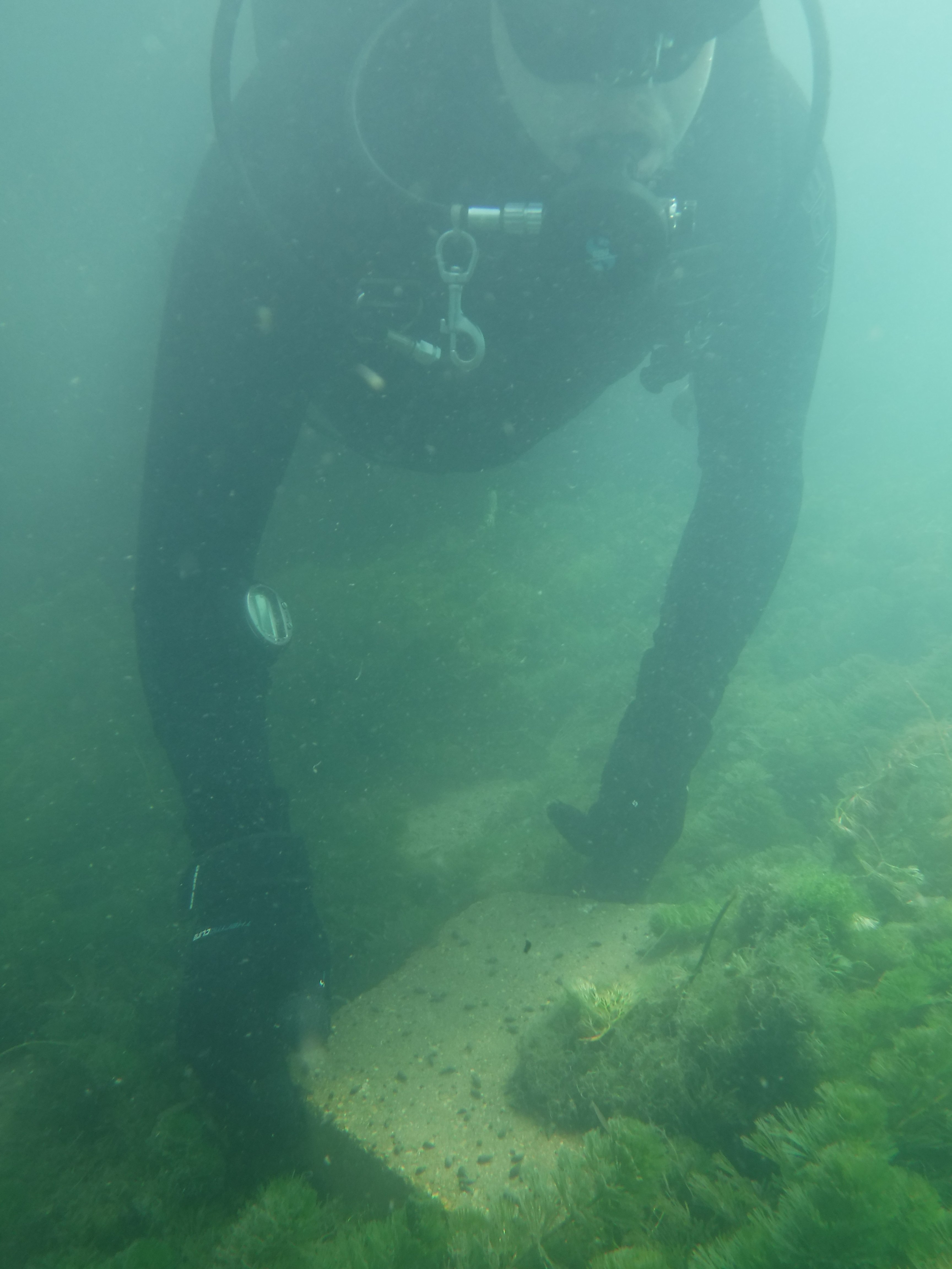 Dive 13 - 24% removes concrete from river.JPG