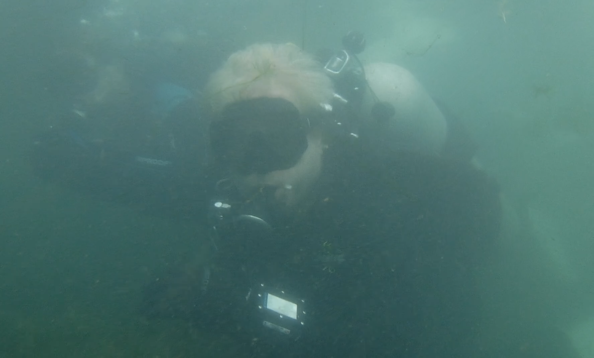 Dive 17 - ReefHound & watermonkee.png
