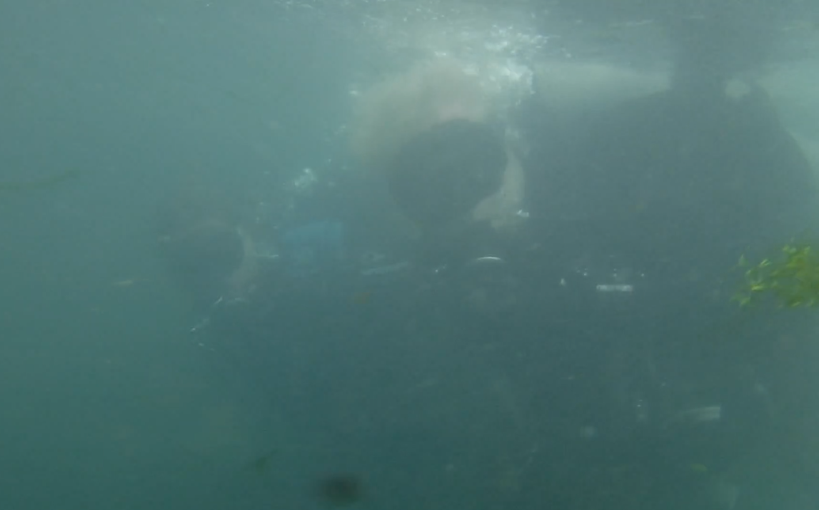 Dive 18 - ReefHound & watermonkee.png