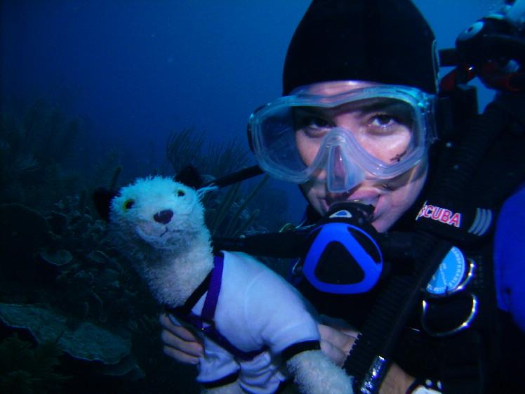 dive buddies