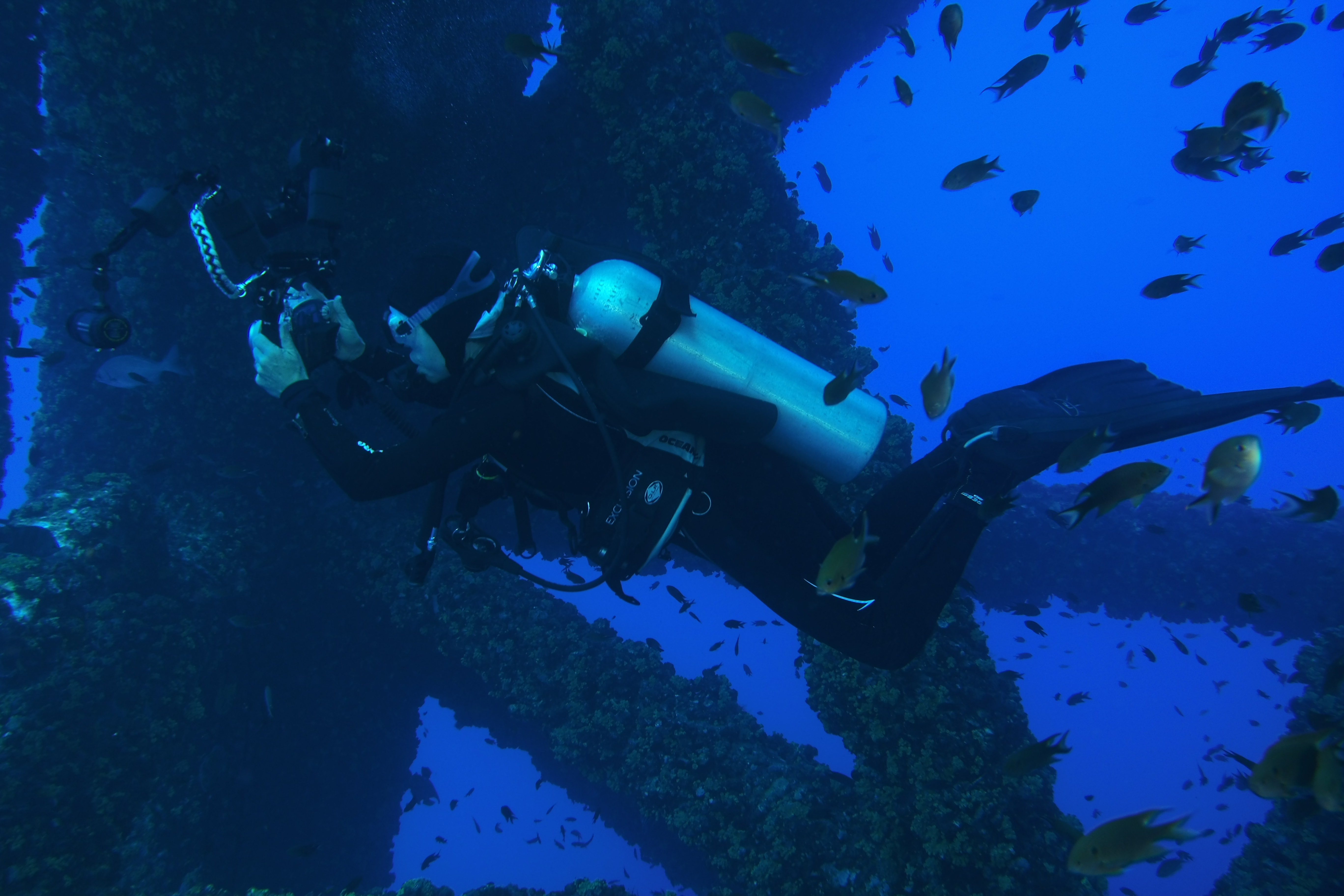 Dive buddy taking pictures