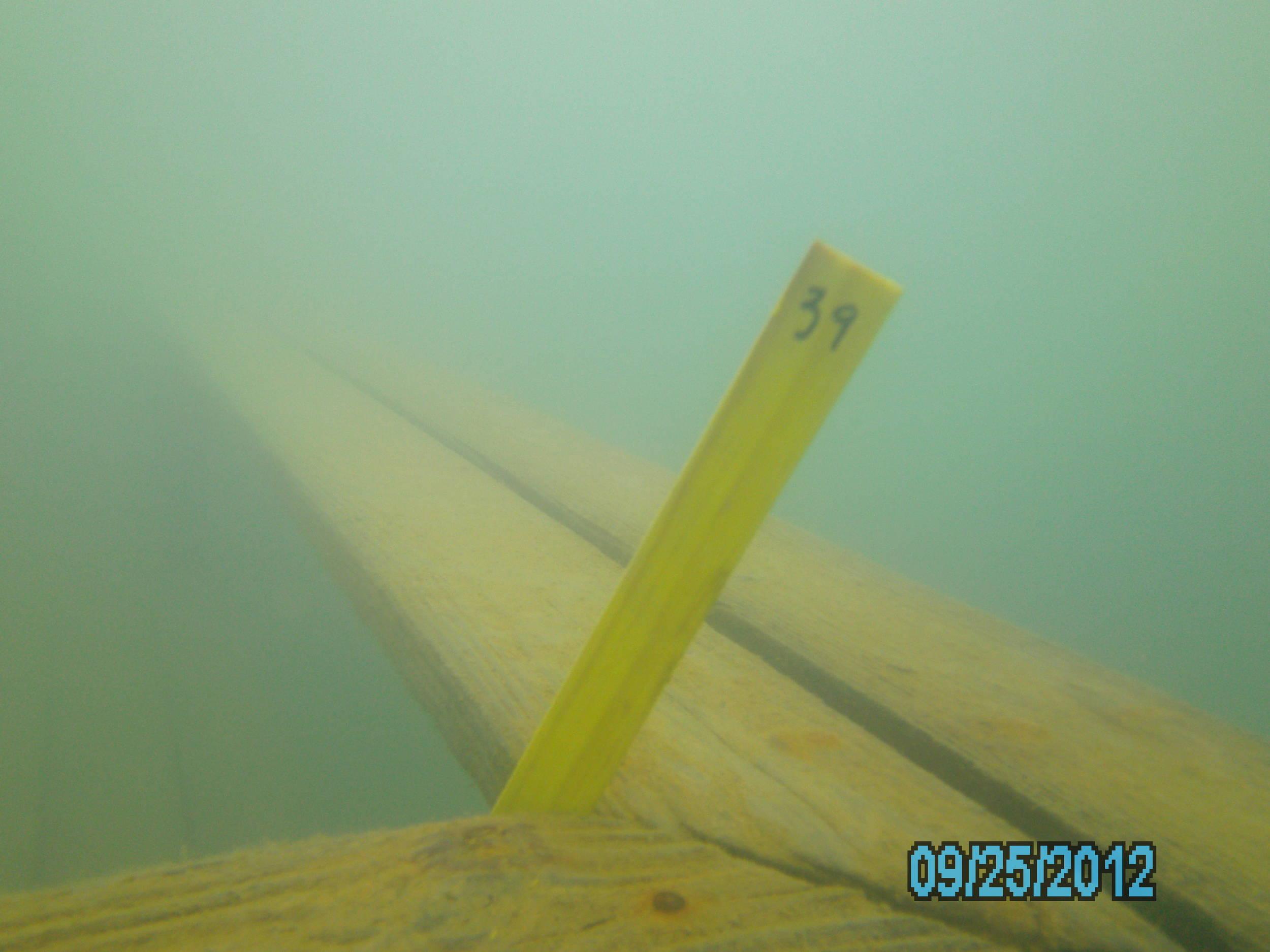 Dive Pirates Chili Cookoff and Scavenger Hunt