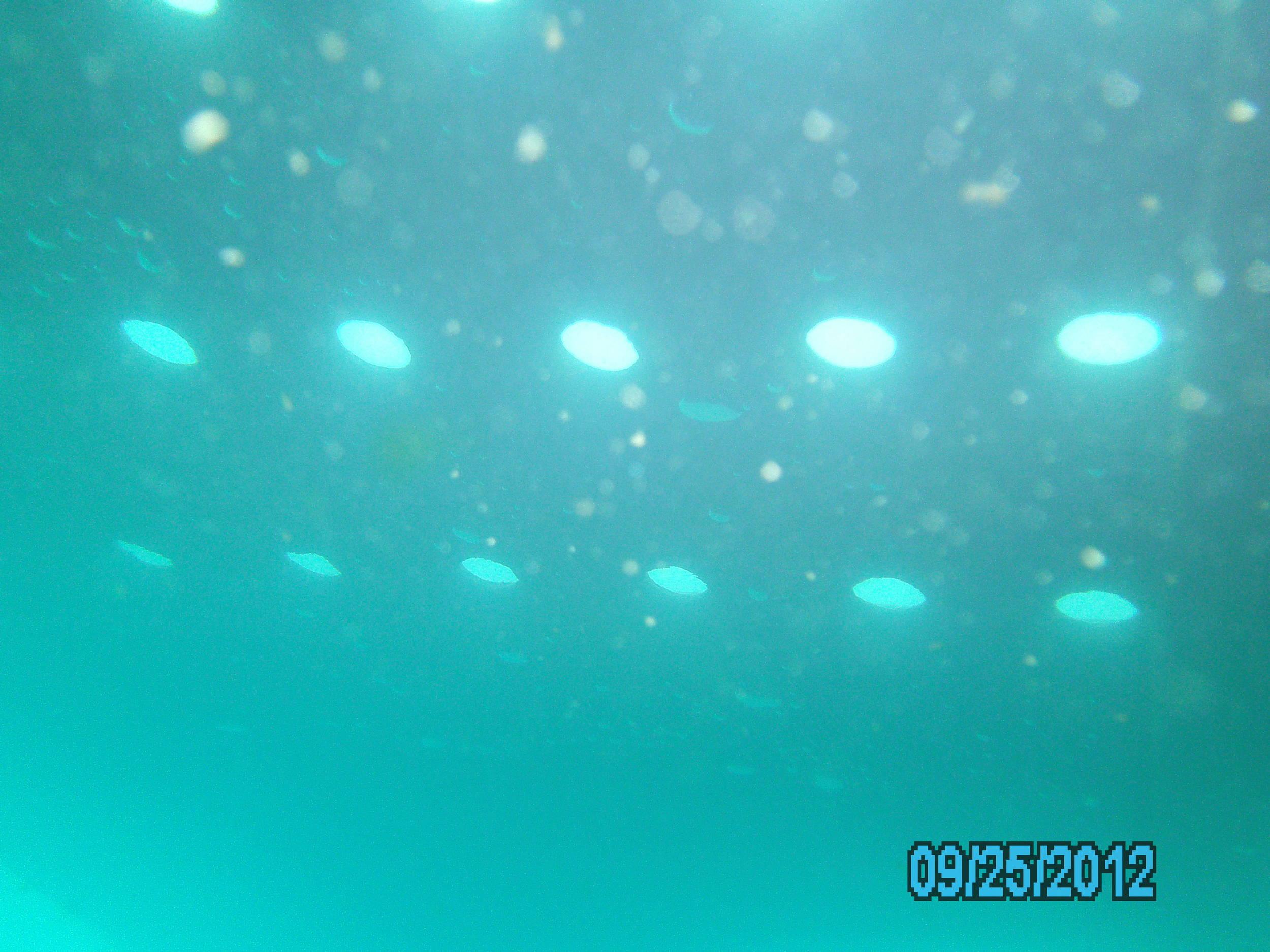 Dive Pirates Chili Cookoff and Scavenger Hunt