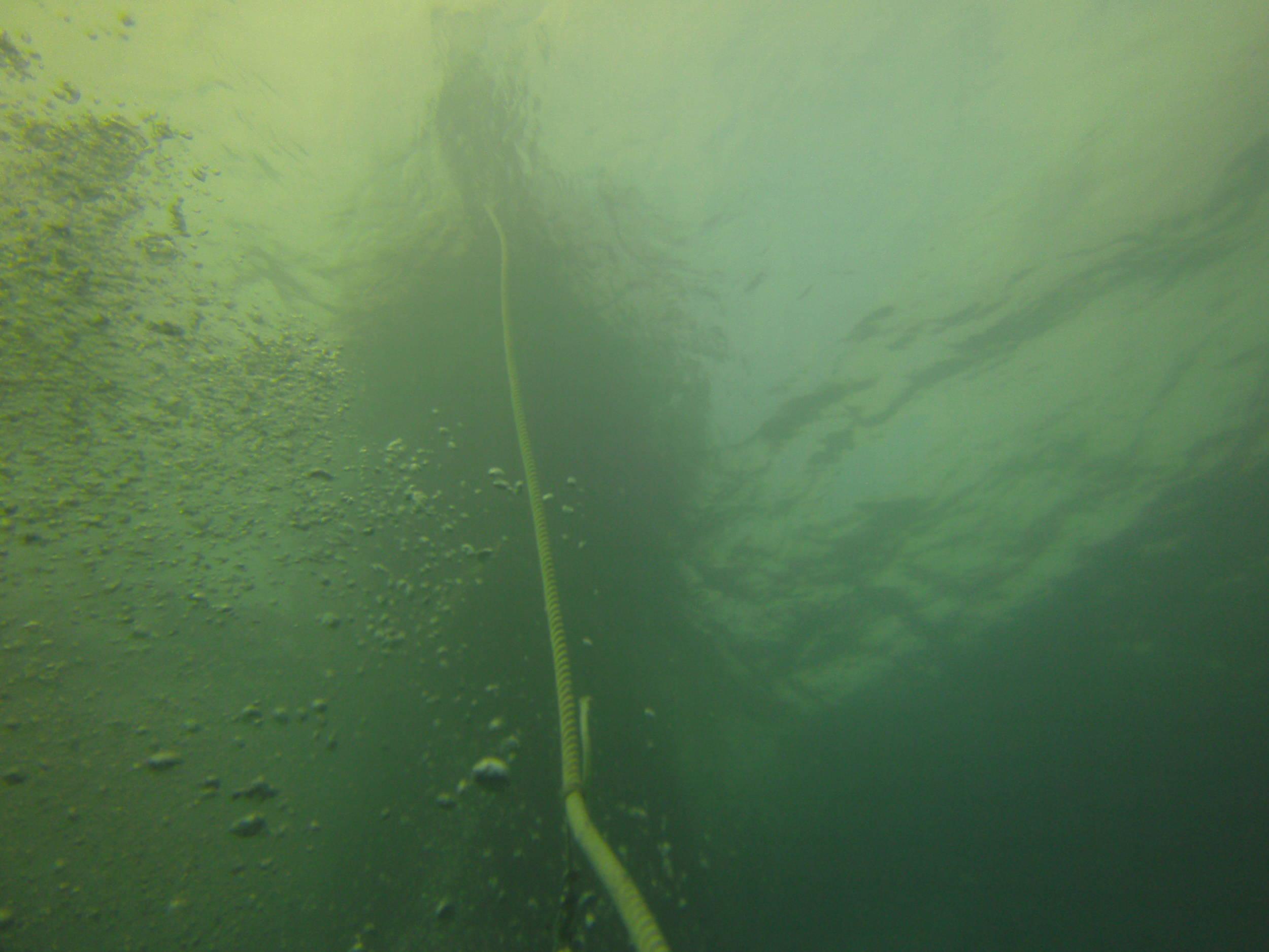 Diver 1