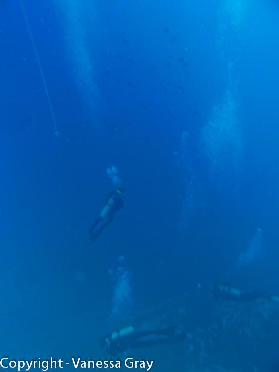 Diver Accent