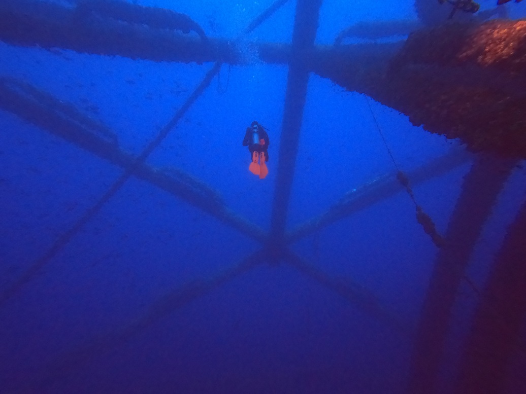 Diver crossing jacket