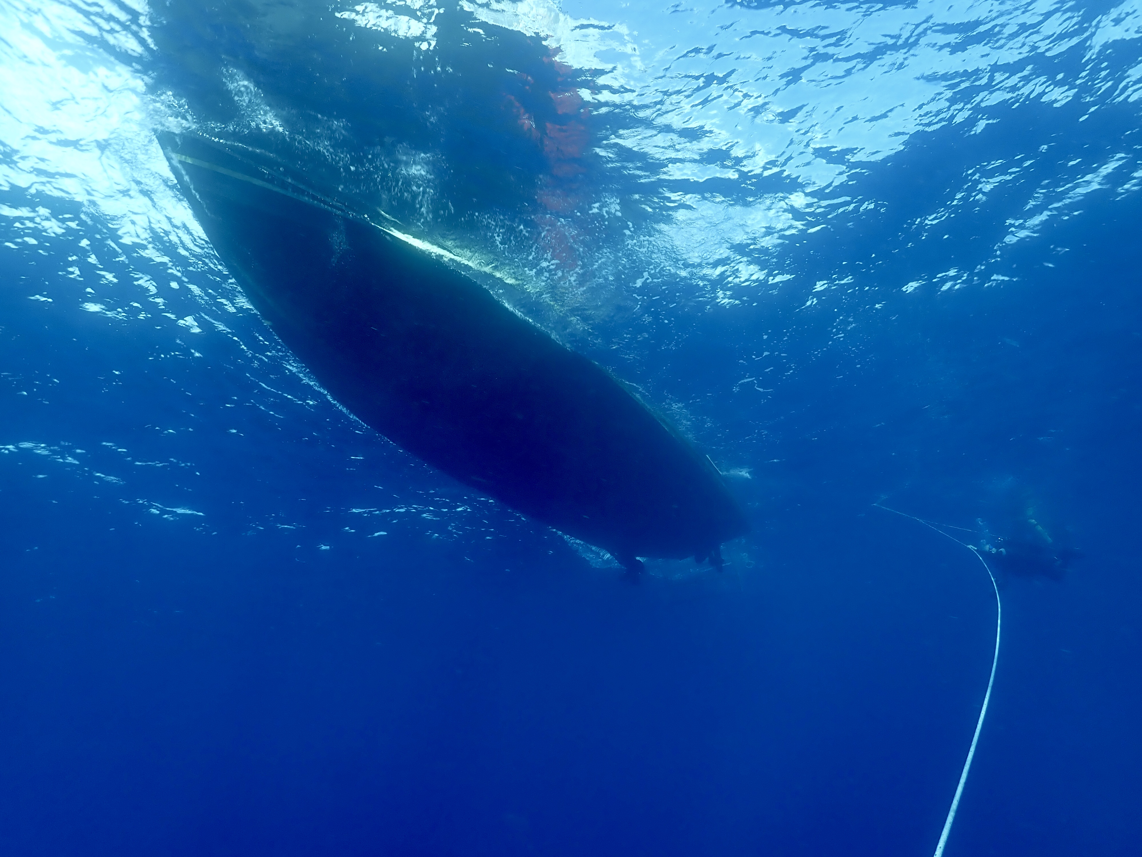 Diver I