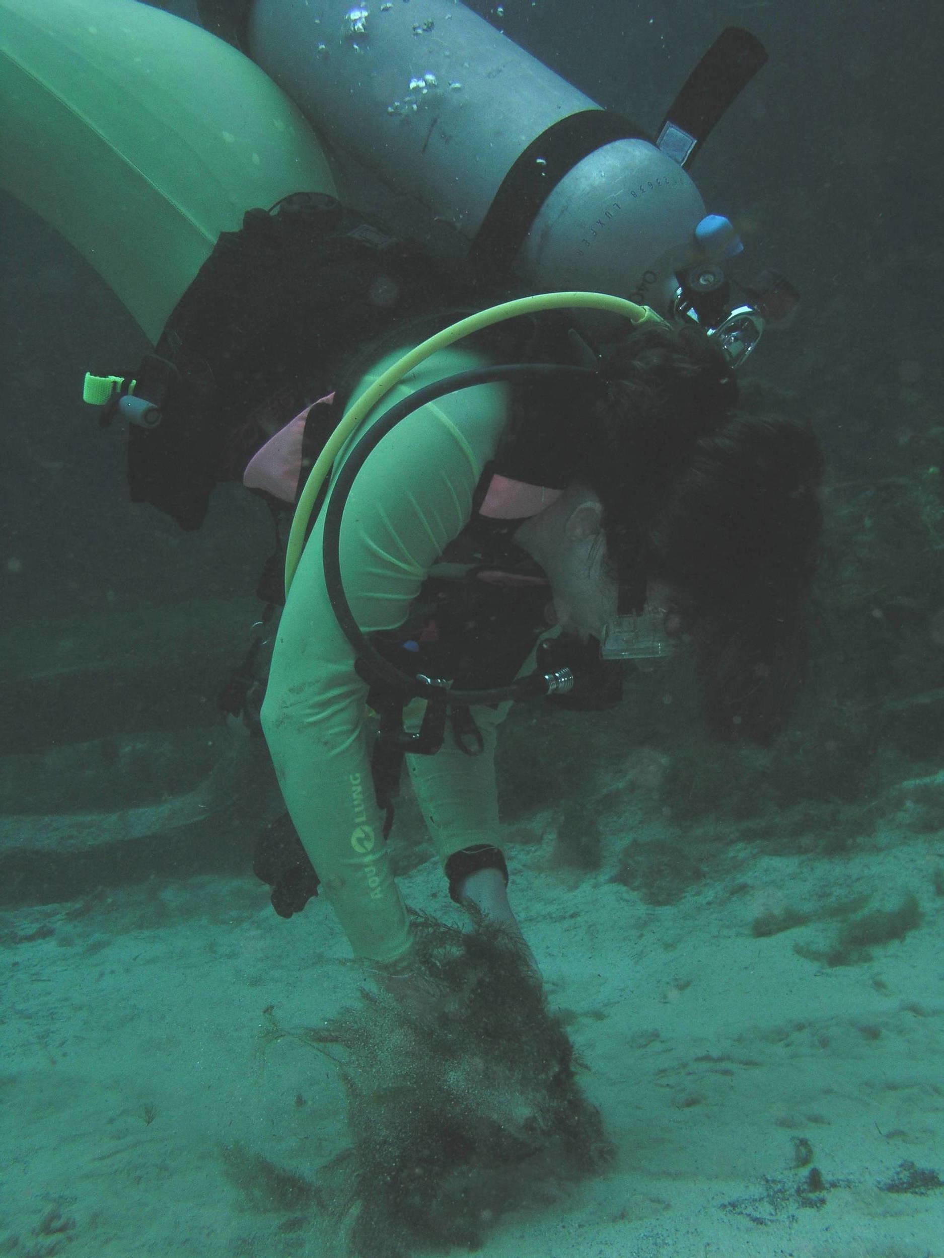Diver_T keeping things in order