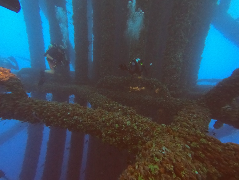 Divers in platform jacket