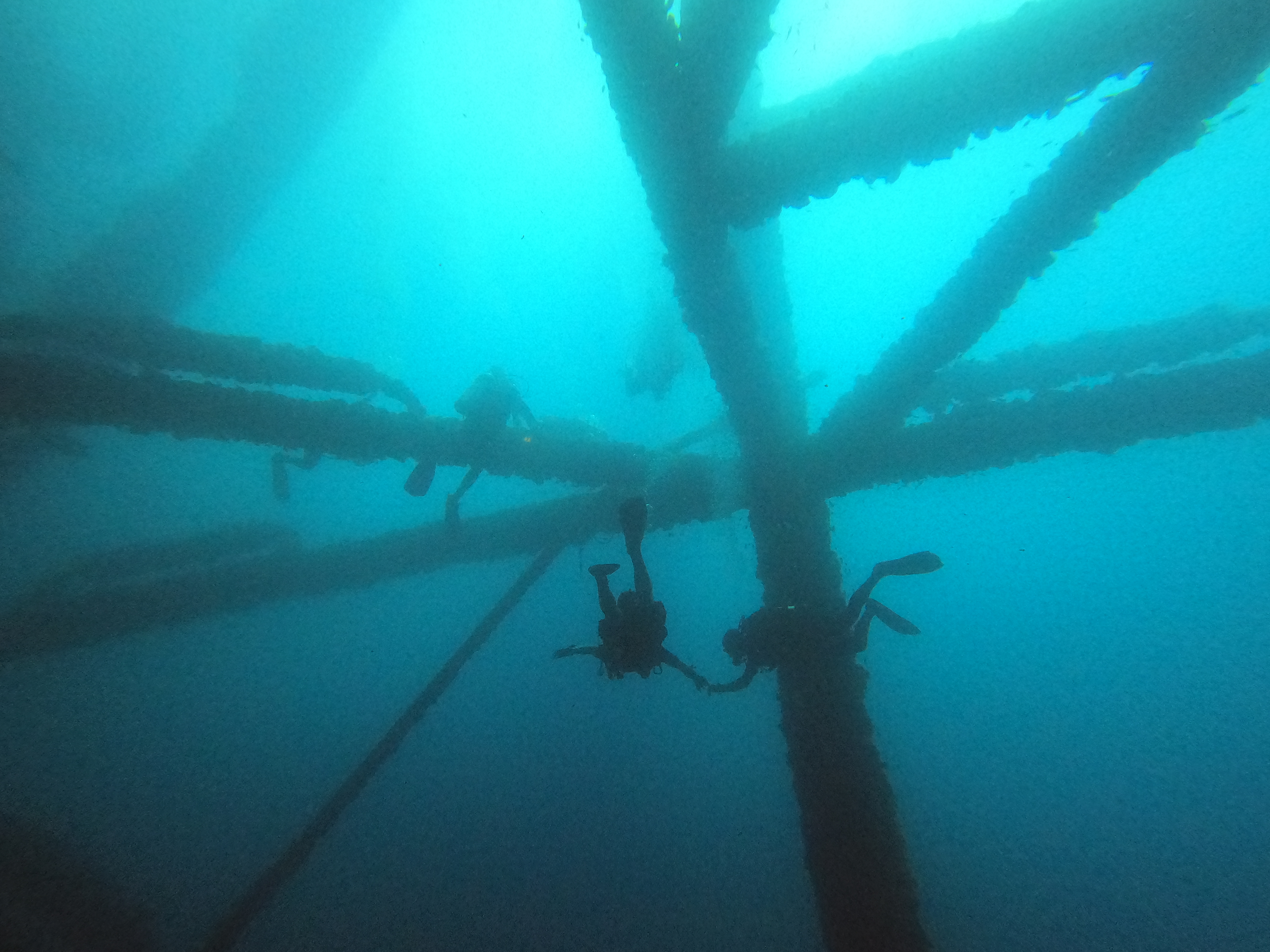 Divers in the structure
