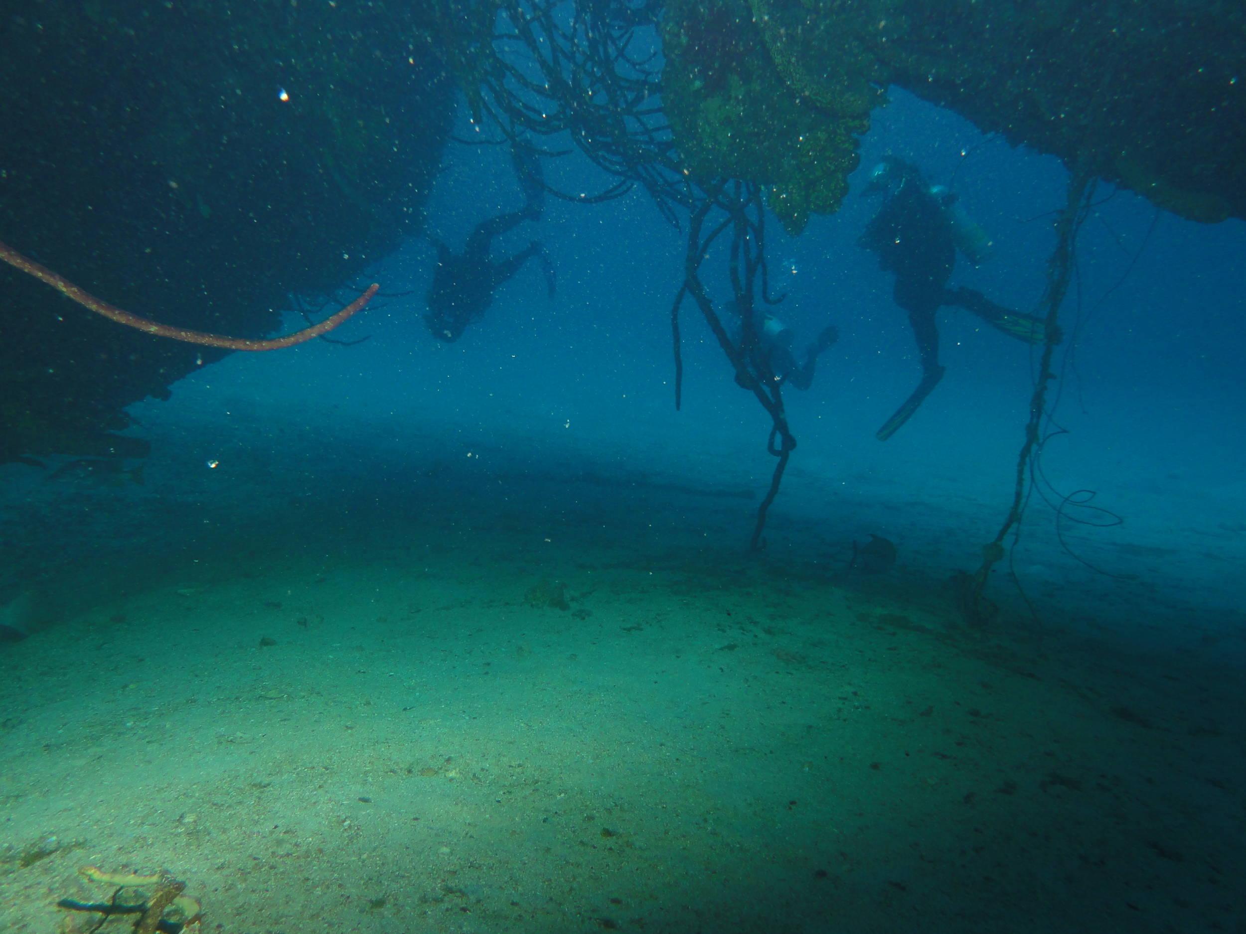 Divers under the Hilma Hooker