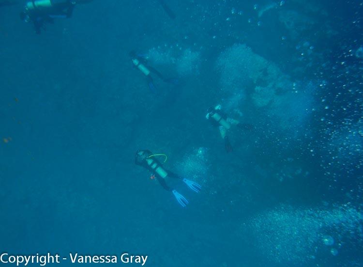 Divers Way Down