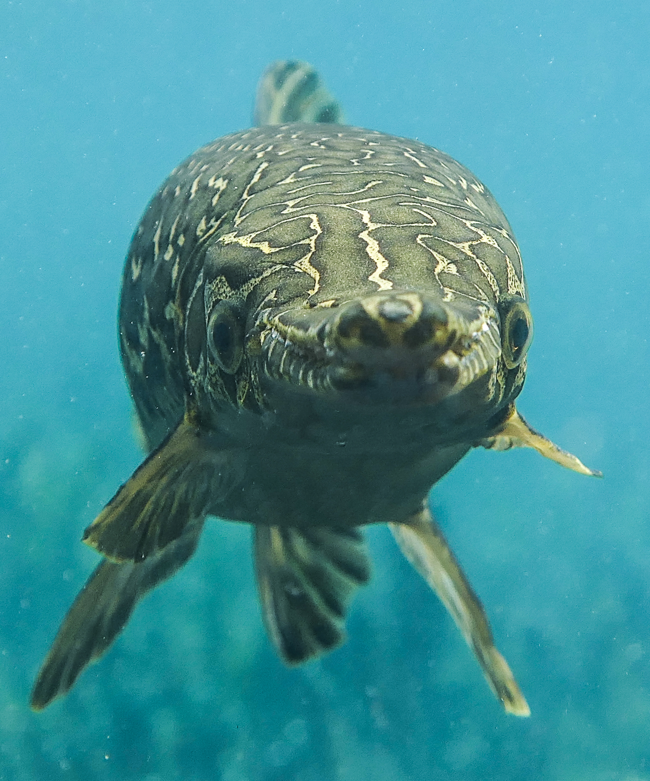 Does my nose look big in this?