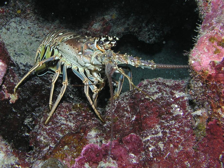 down...down...down...down