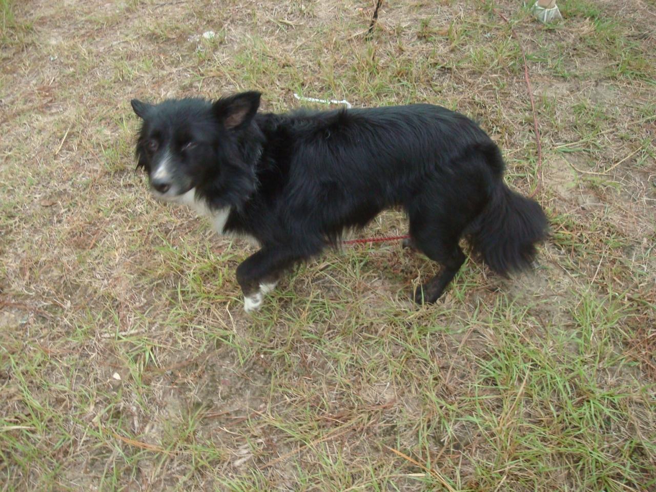 DSC03370