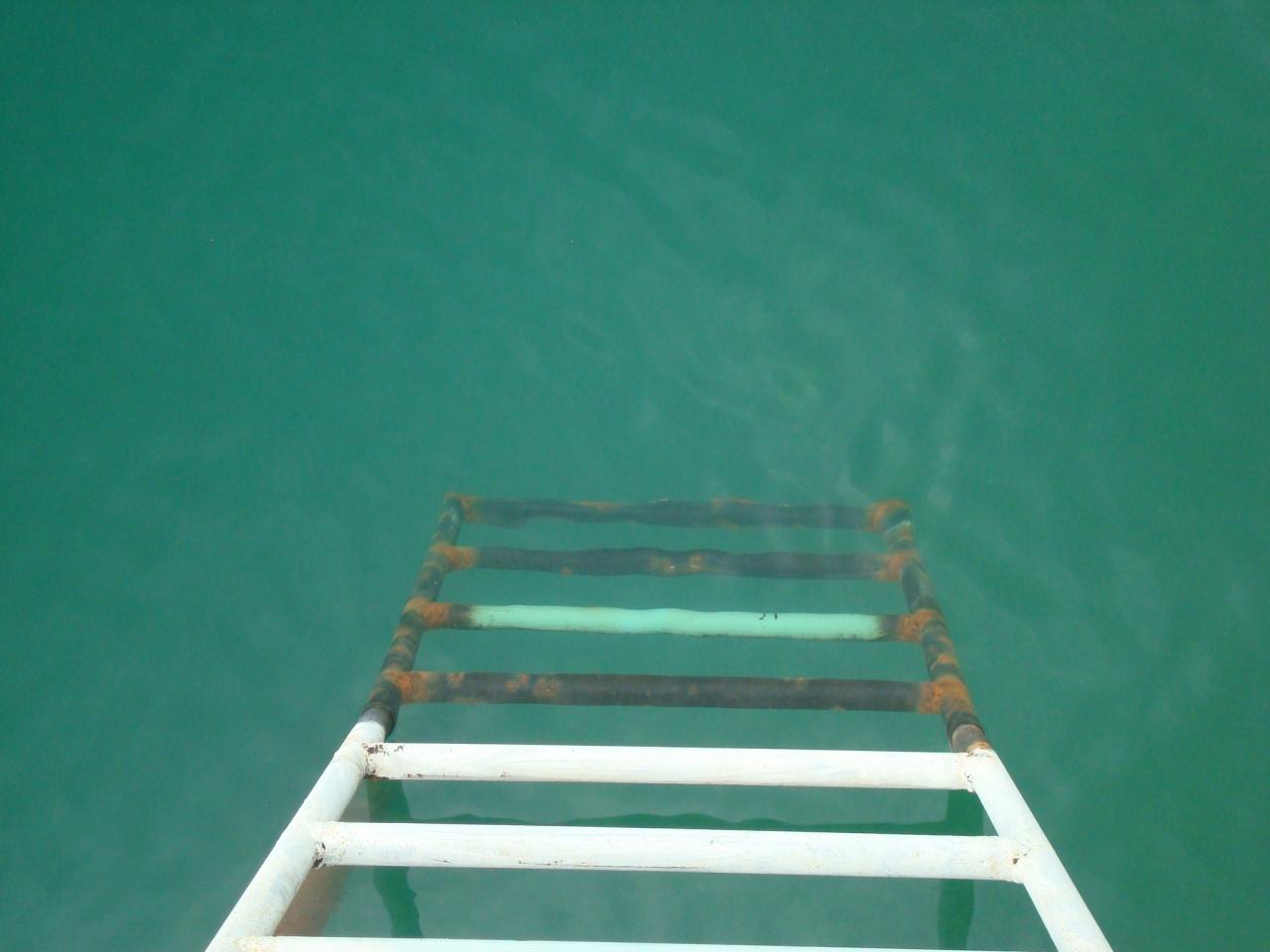 DSC03381