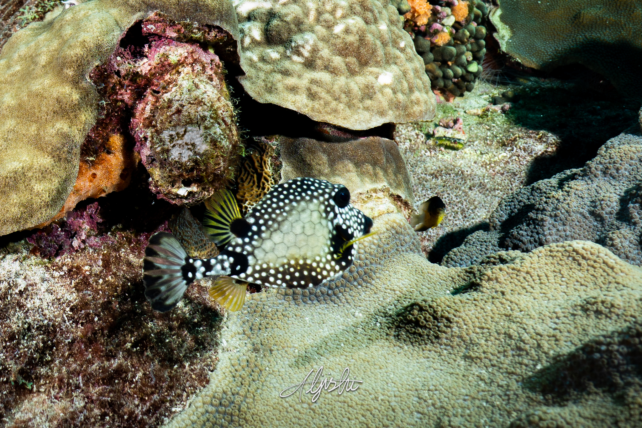 DSC09575.jpg