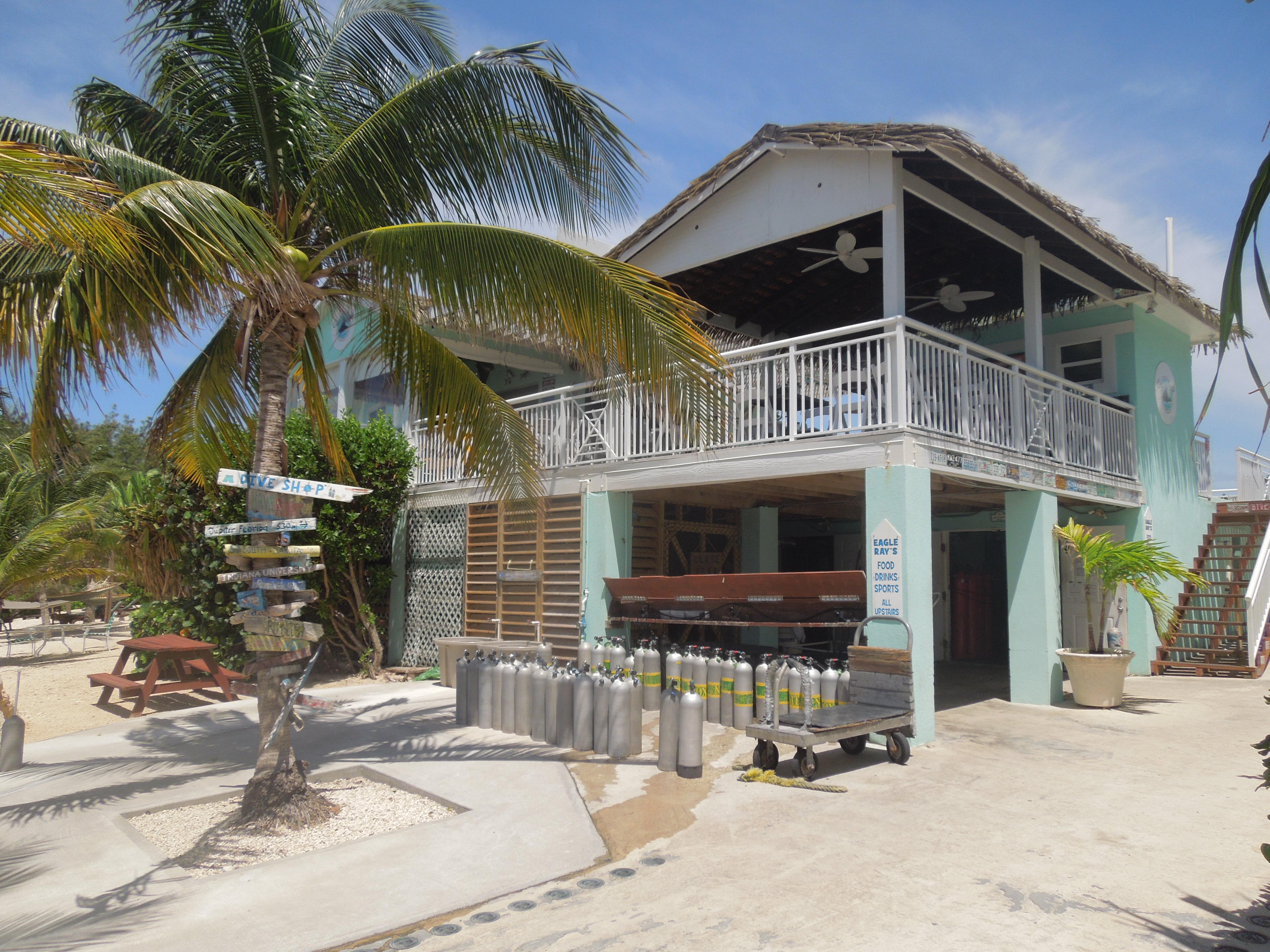 Eagle Ray's and the dive shed